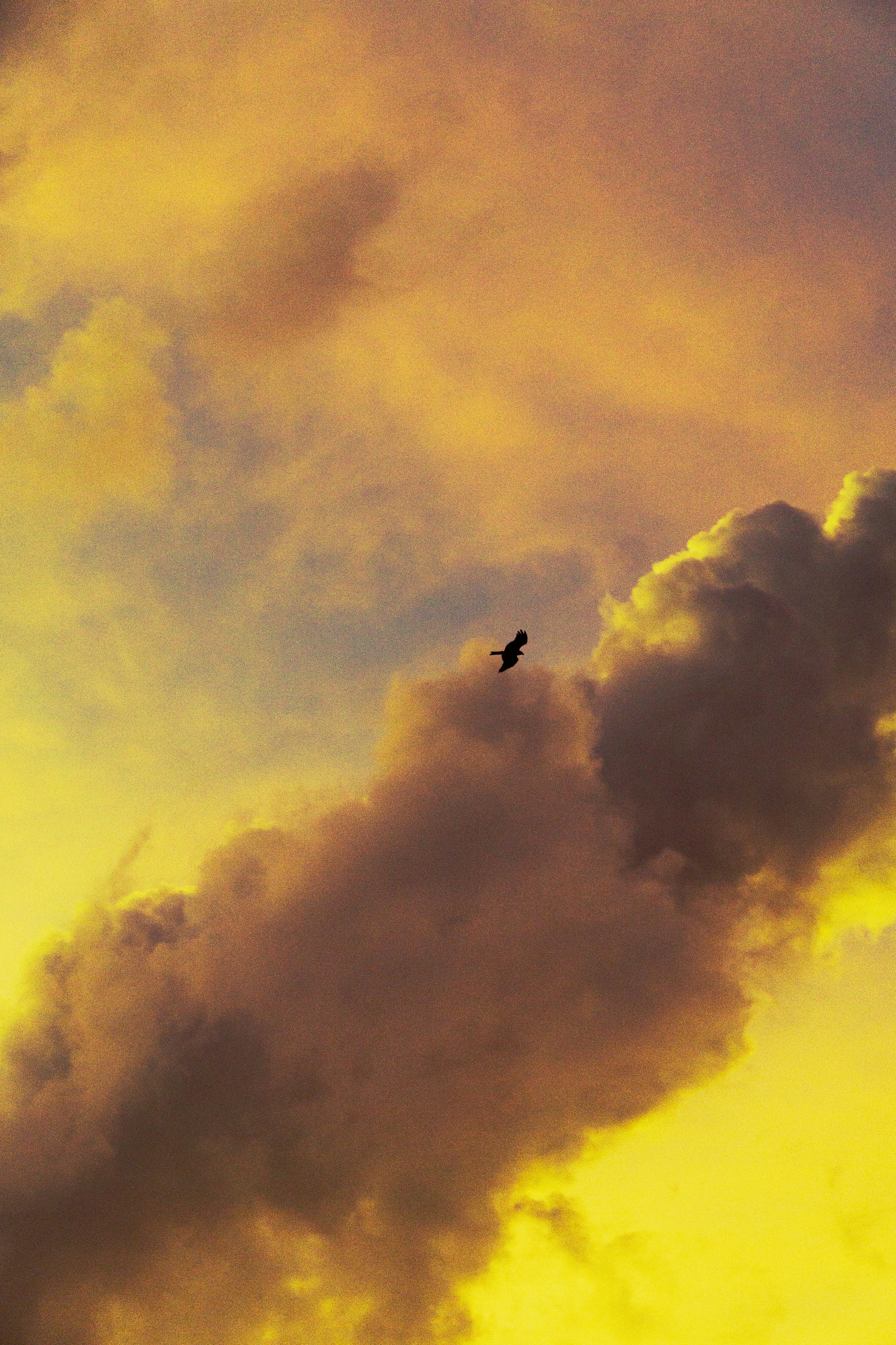 Photo by dewang