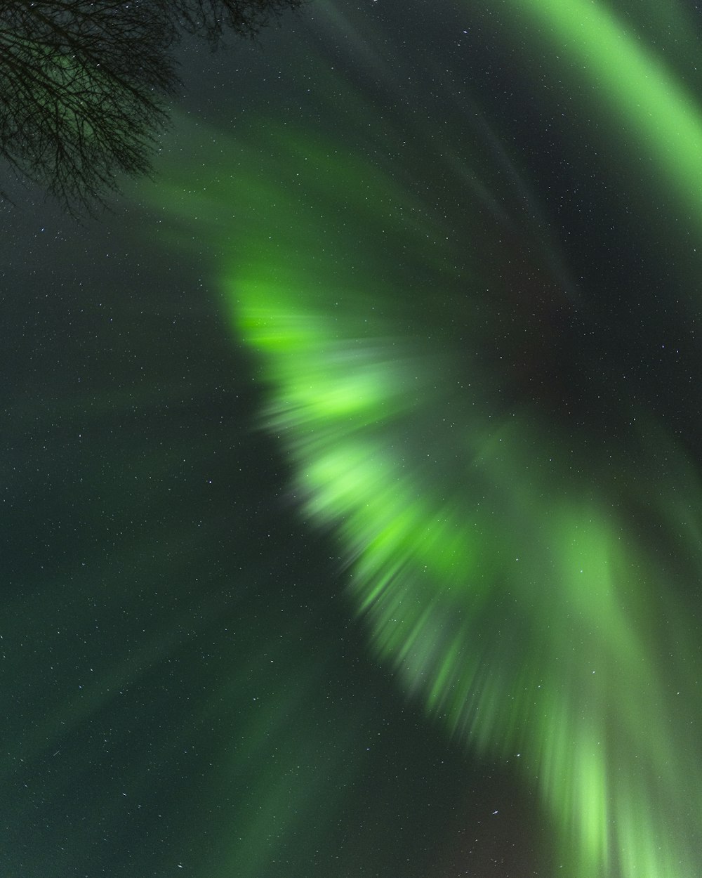 a green aurora bore in the night sky