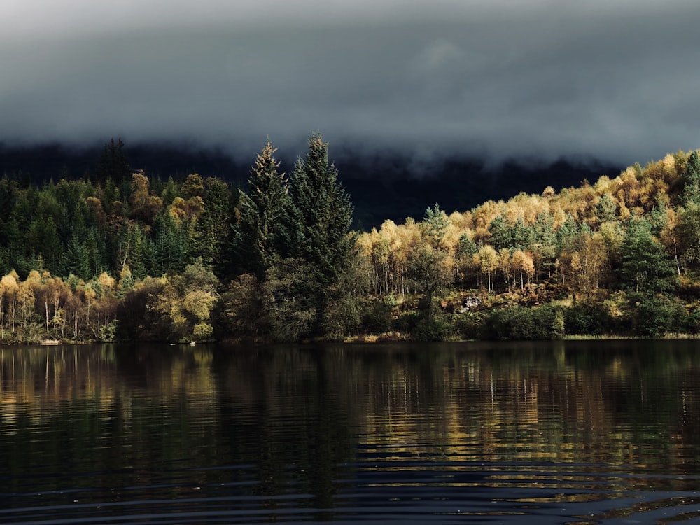 a body of water surrounded by trees and clouds