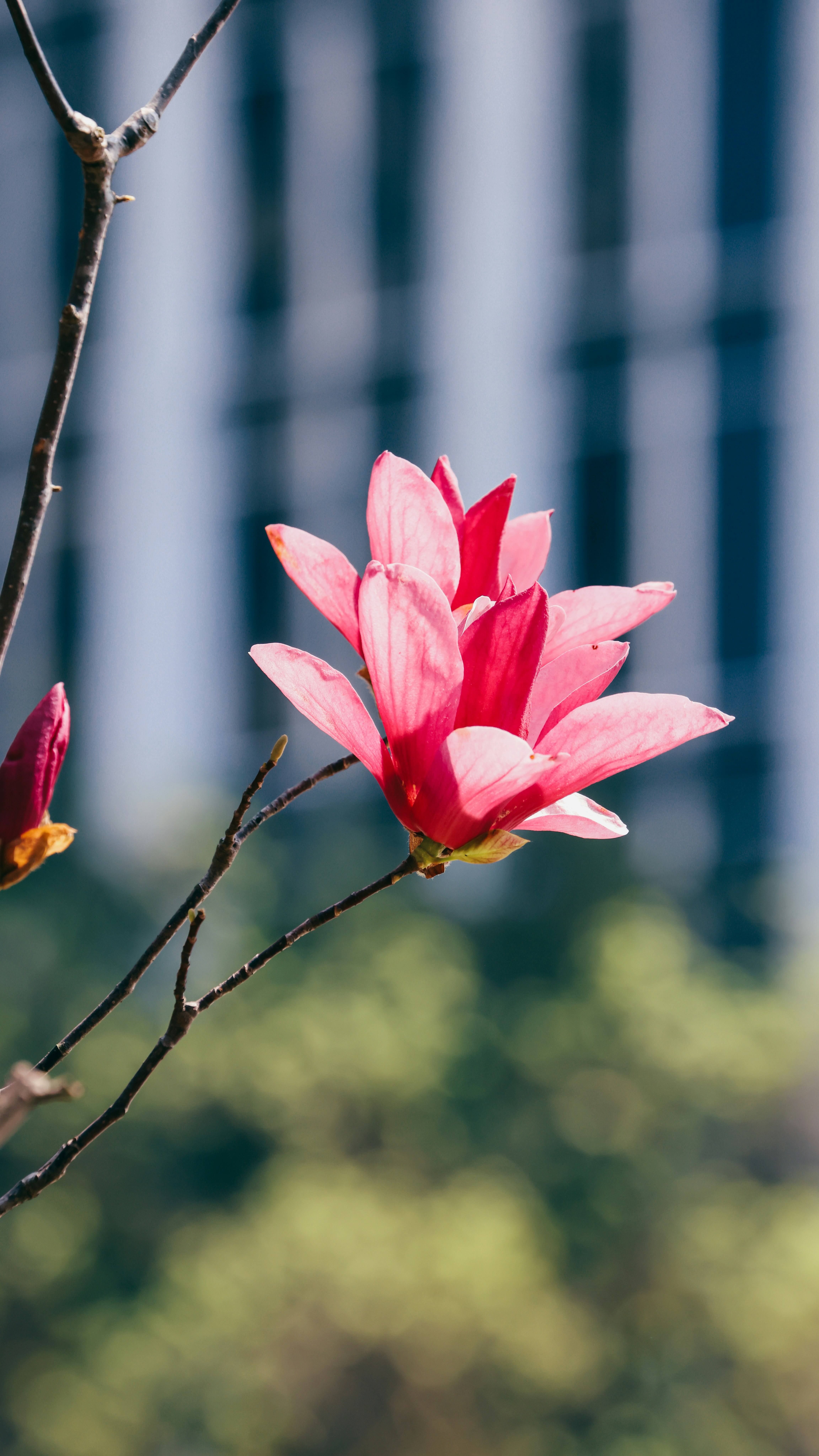 Photo by dickenslin76