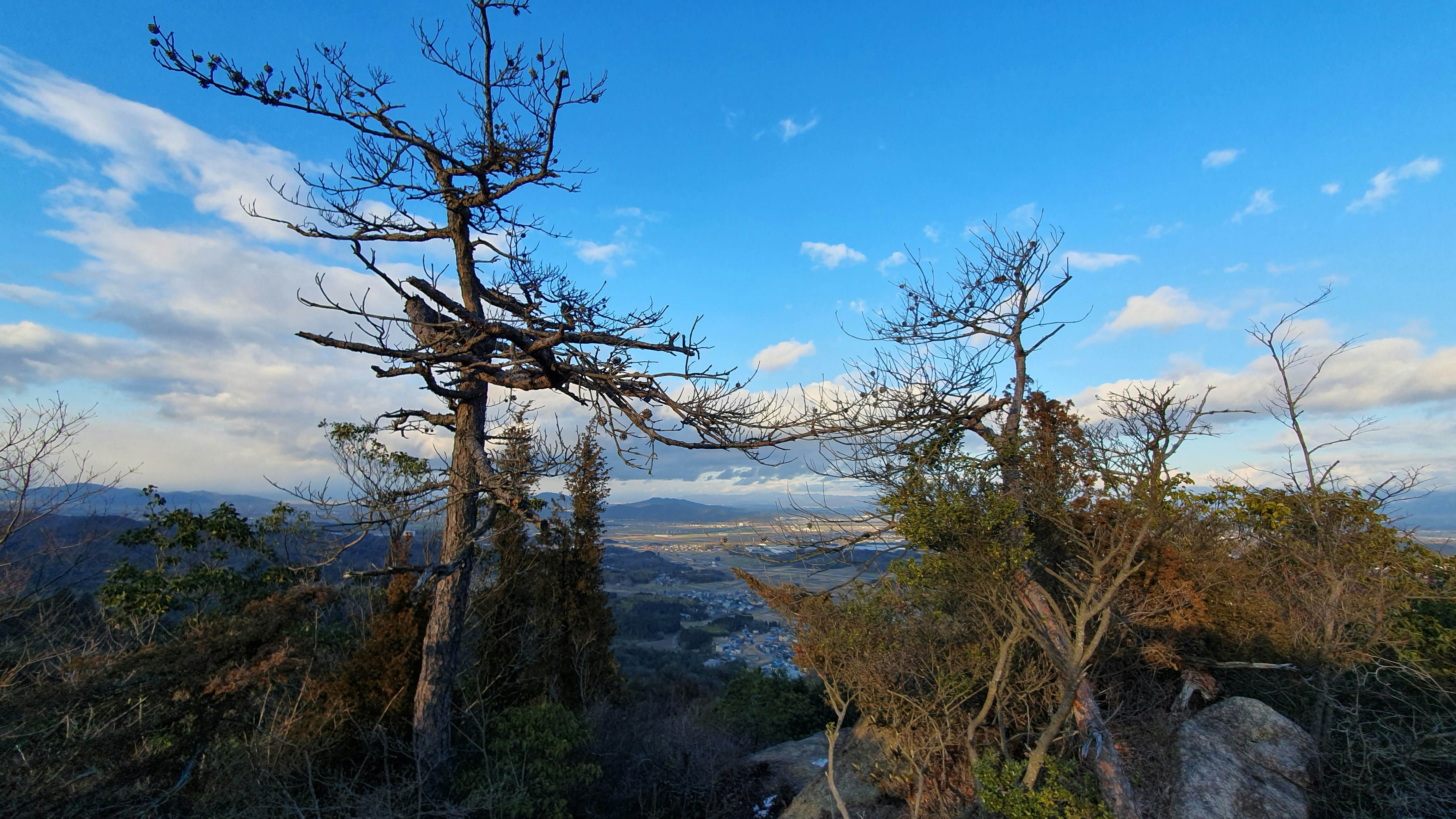 Photo by naturalphotos08