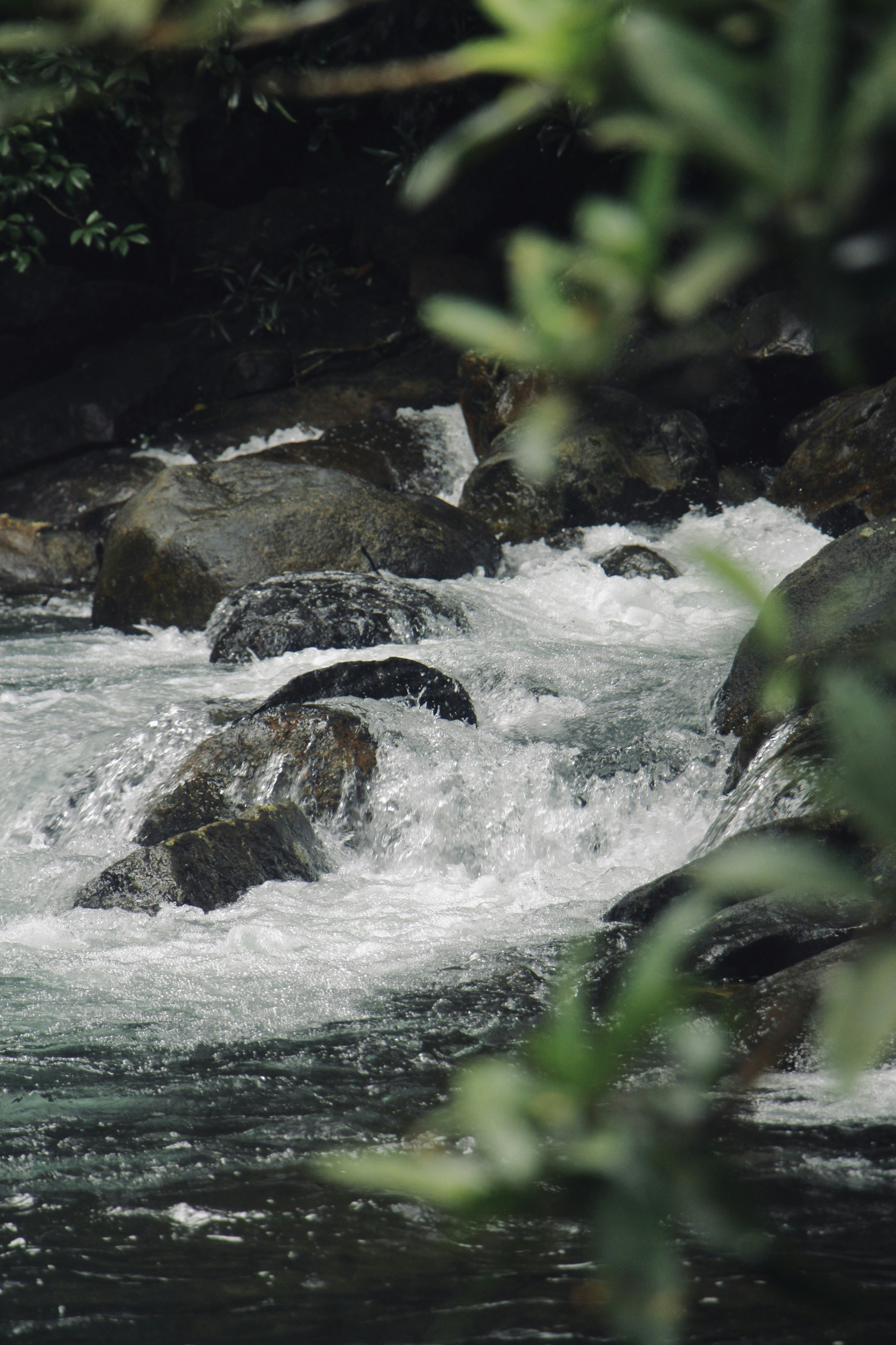 Photo by francos_chapter