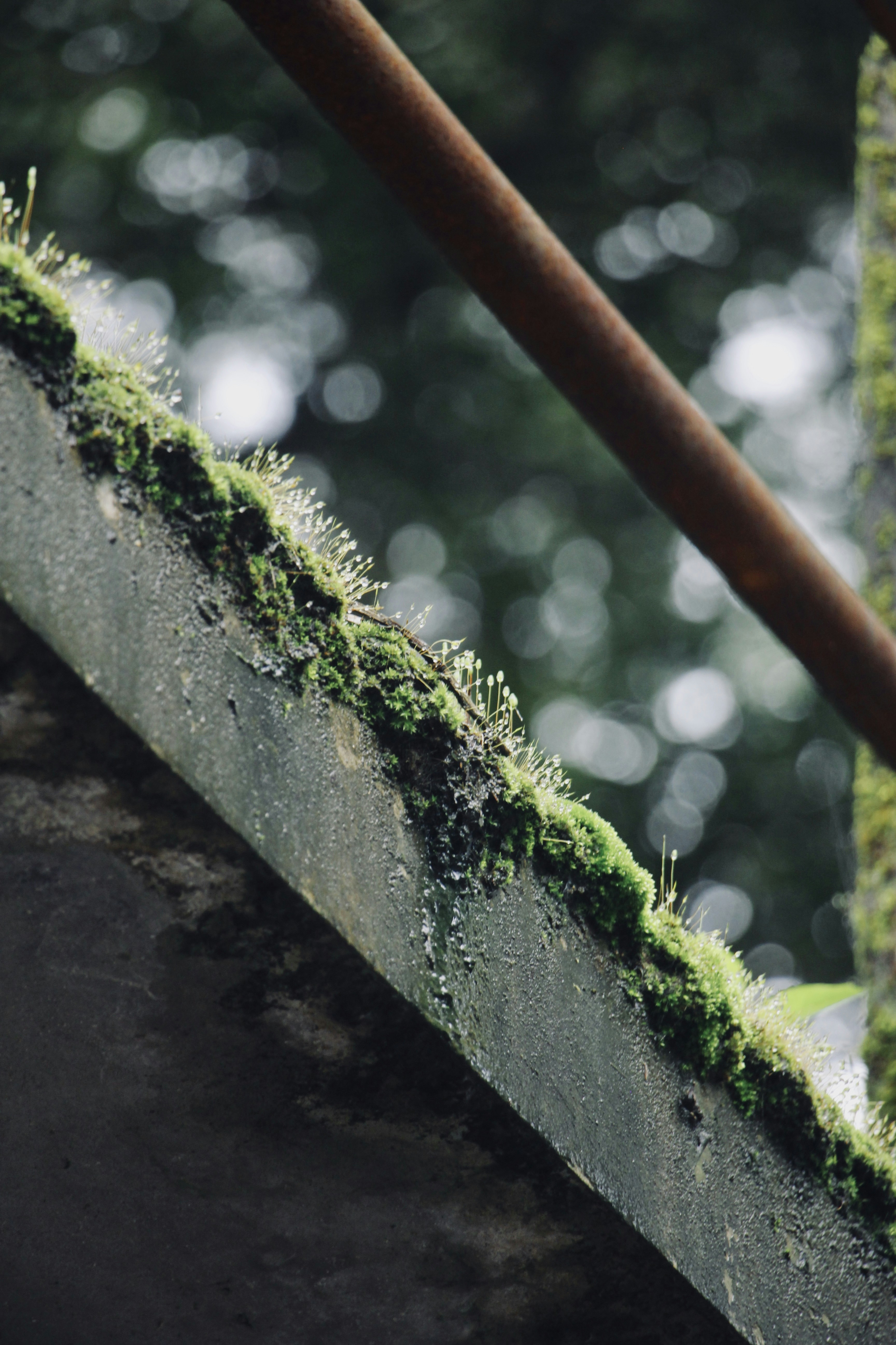 Photo by francos_chapter