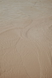 a person riding a surfboard on top of a sandy beach