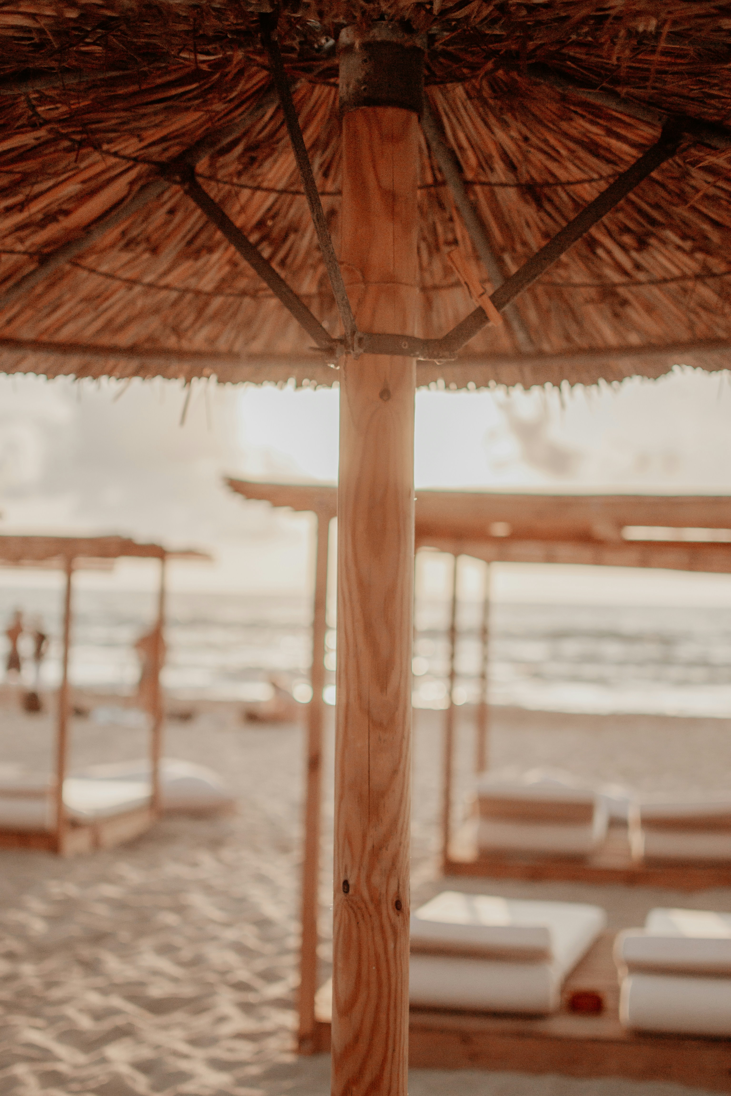 photo-1677588844606-5deb3d60aaa6?ixid=M3wxMjA3fDB8MXxzZWFyY2h8Nnx8YmFtYnVzJTIwdHJpbmtiZWNoZXJ8ZW58MHx8fHwxNzEwNjQ2NTA1fDA\u0026ixlib=rb-4.0.3