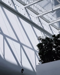 Sunlight casts geometric shadows from a glass roof structure onto a white interior wall. In the foreground, a leafy green plant adds contrast against the bright background.