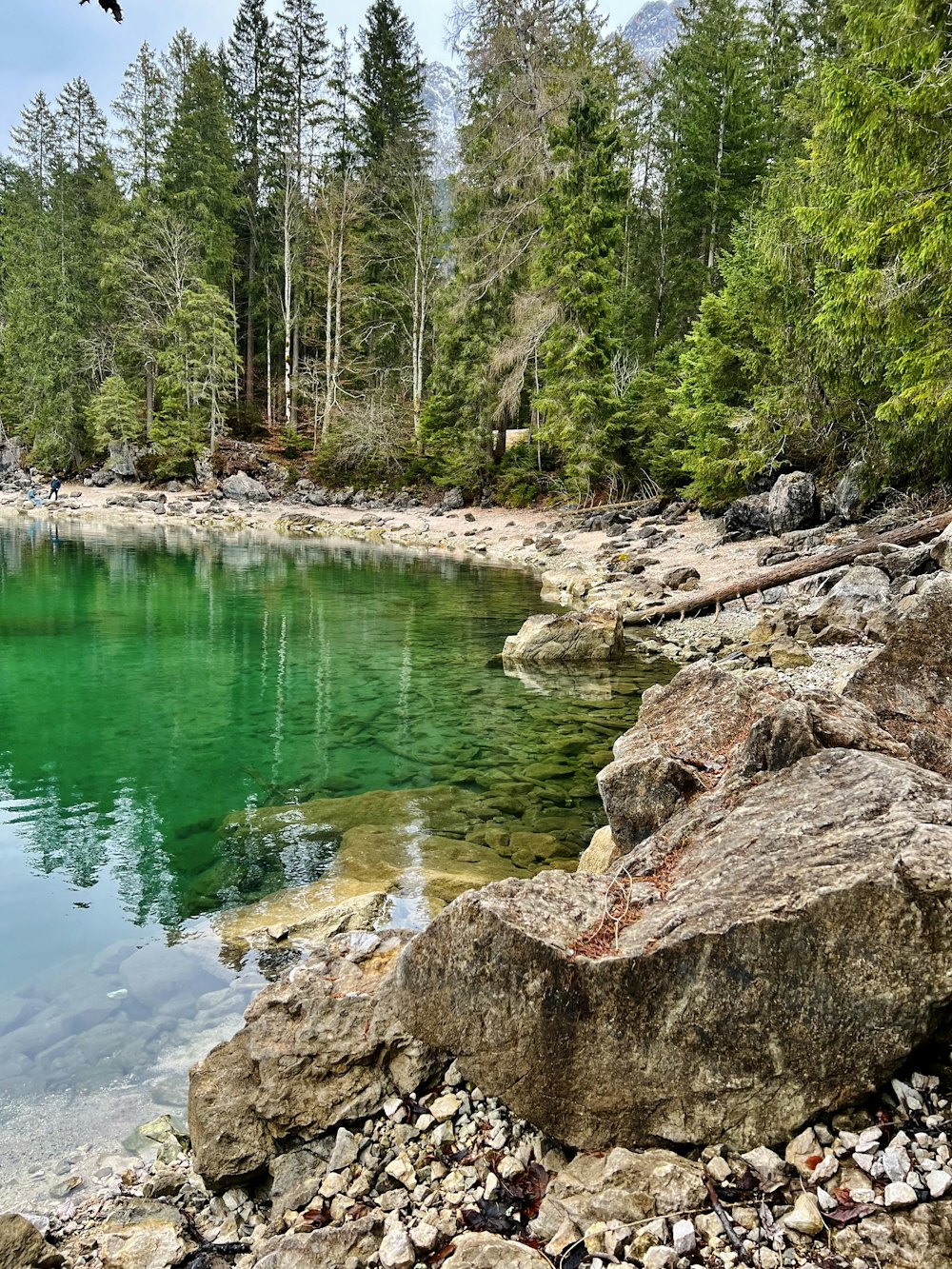 a body of water surrounded by trees and rocks