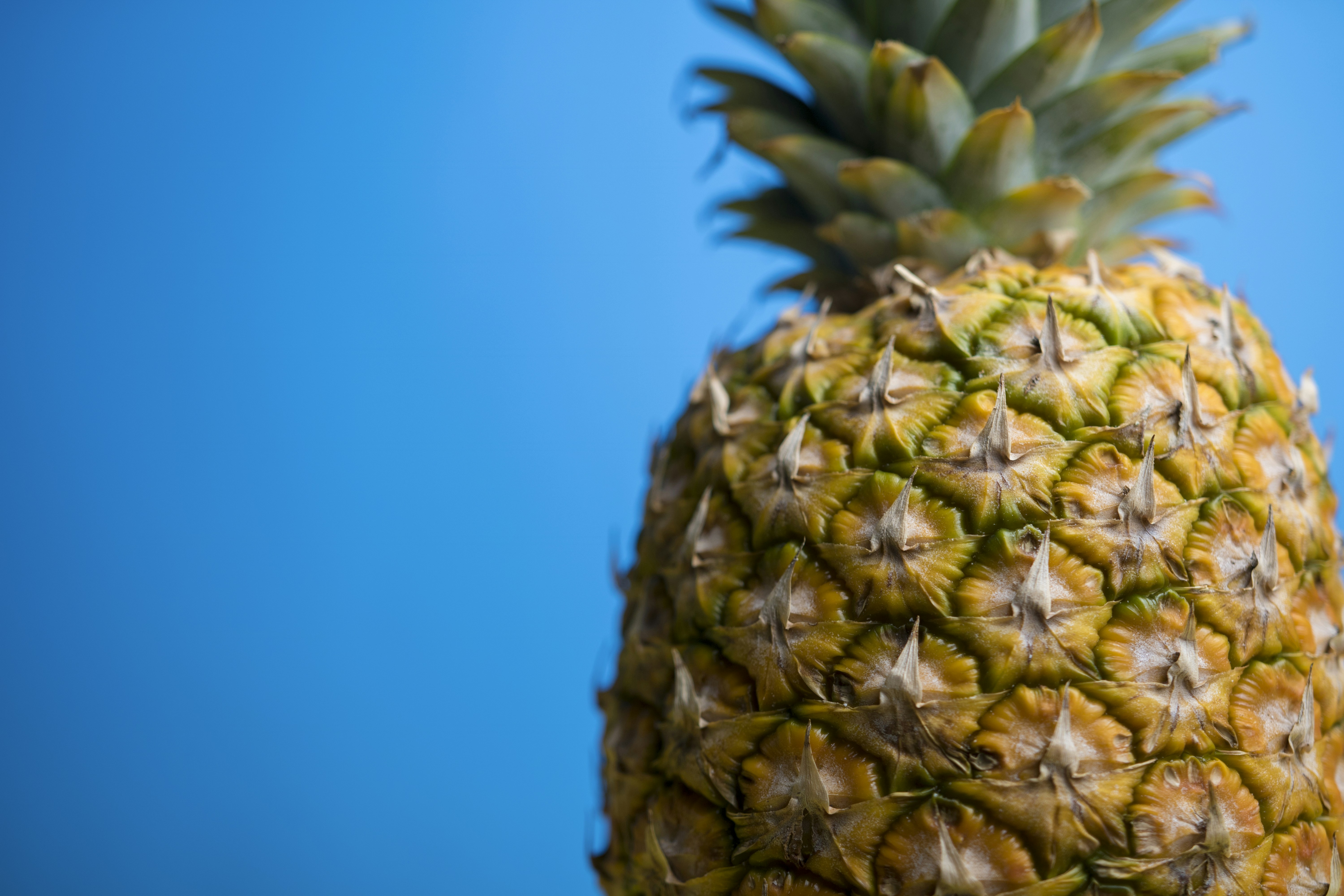 Photo by douglasivanauskas