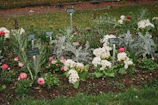 A beautifully arranged flower bed with colorful blooms and neatly trimmed shrubs.