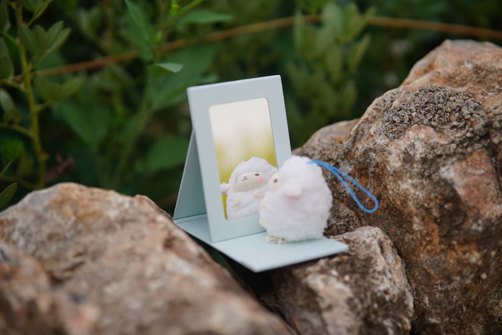 a stuffed animal in a picture frame on a rock