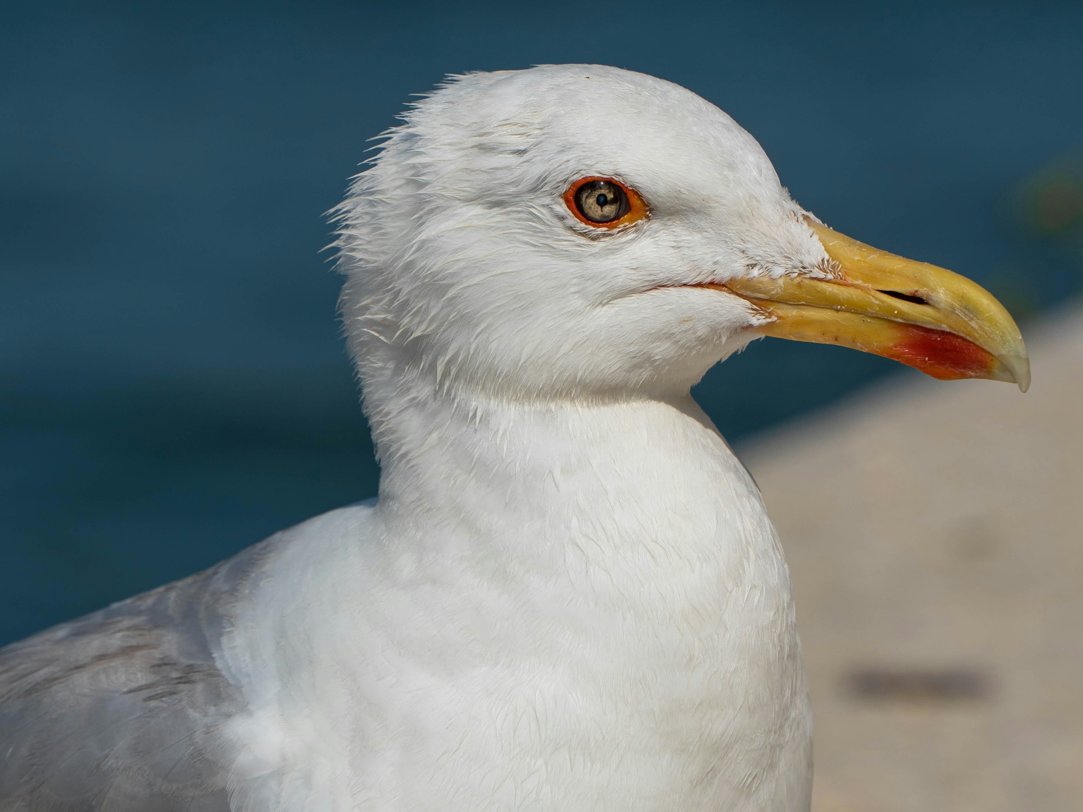 Photo by qq1609792871