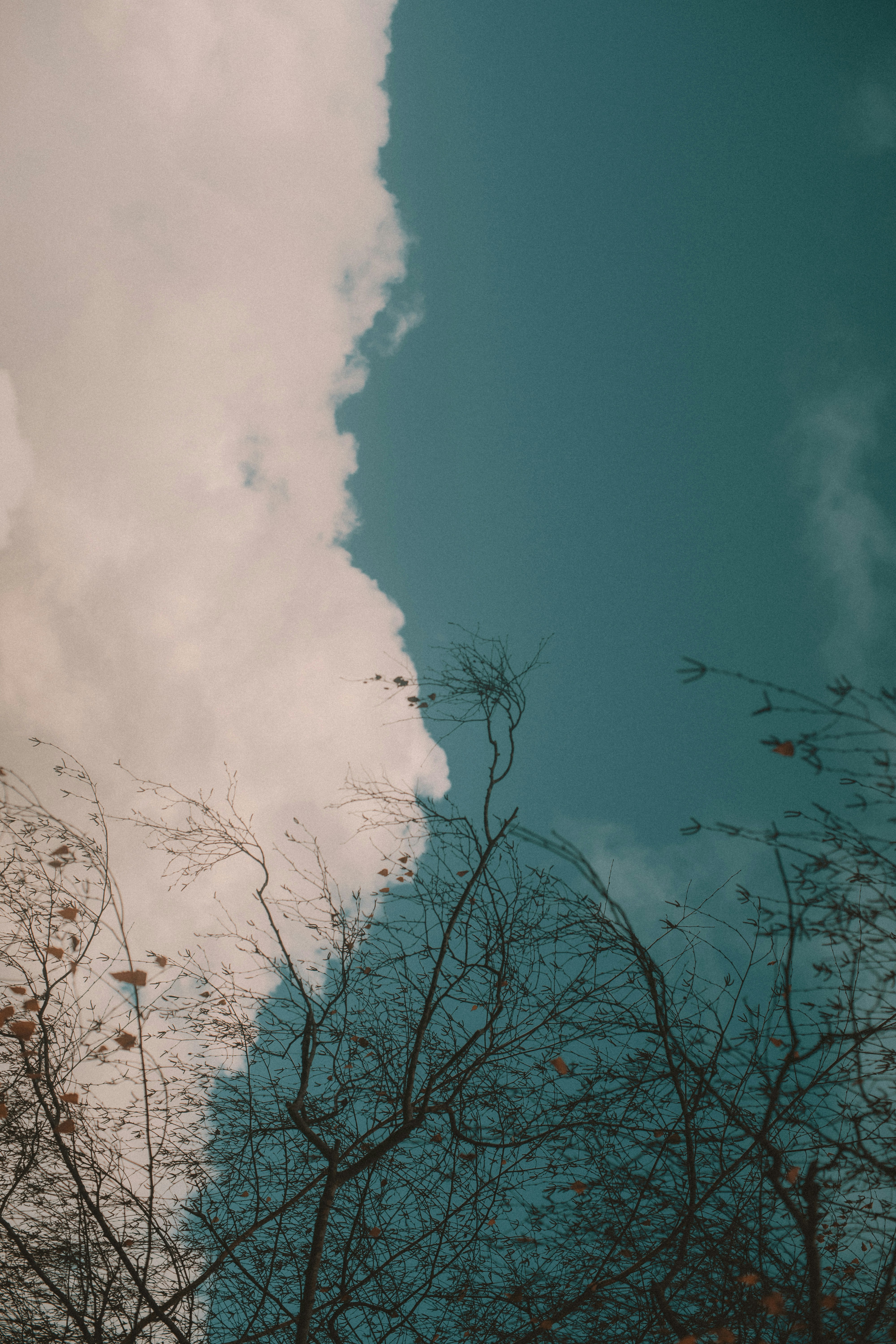 Photo by elmartinbaron