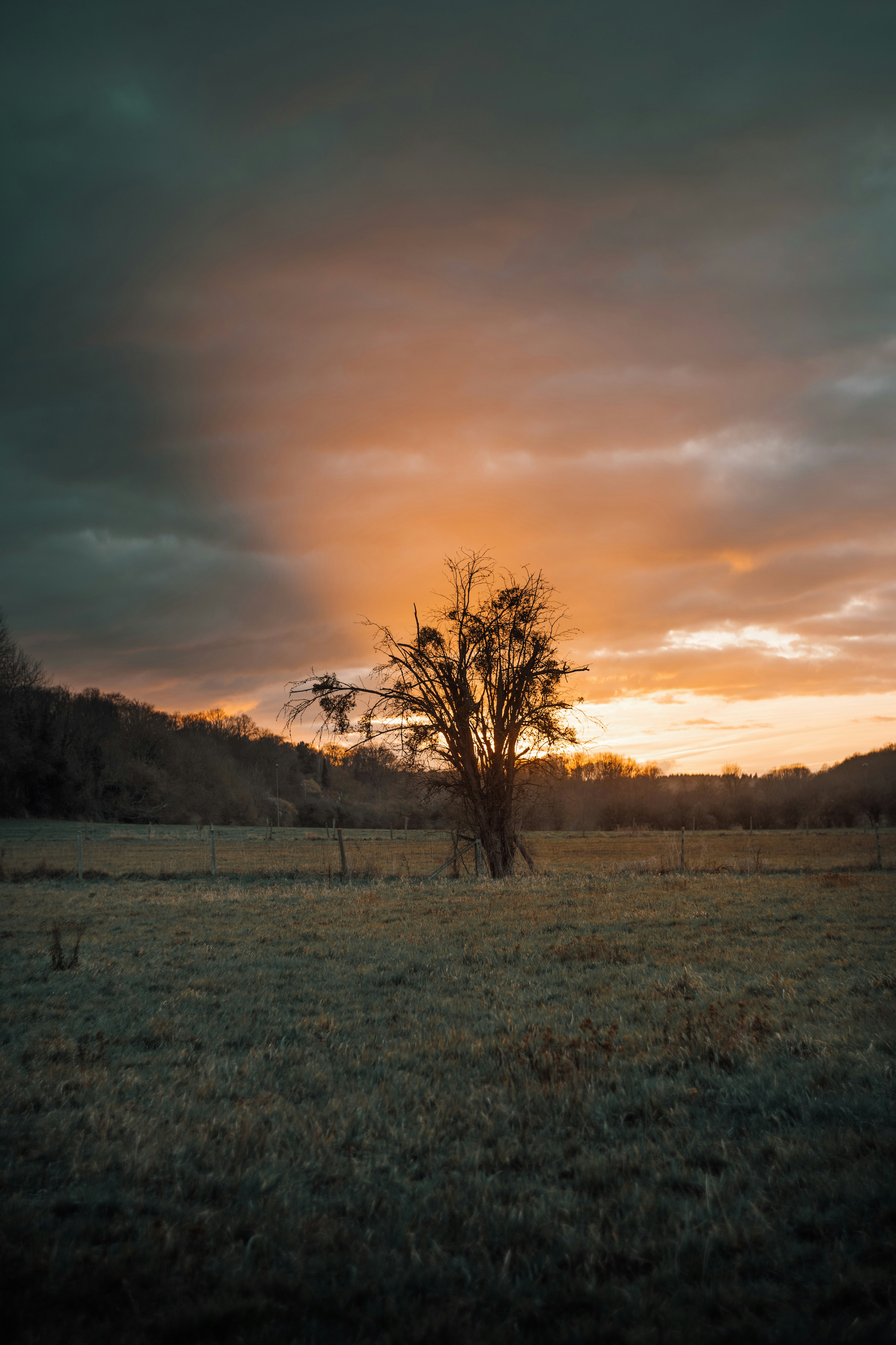 Photo by elmartinbaron