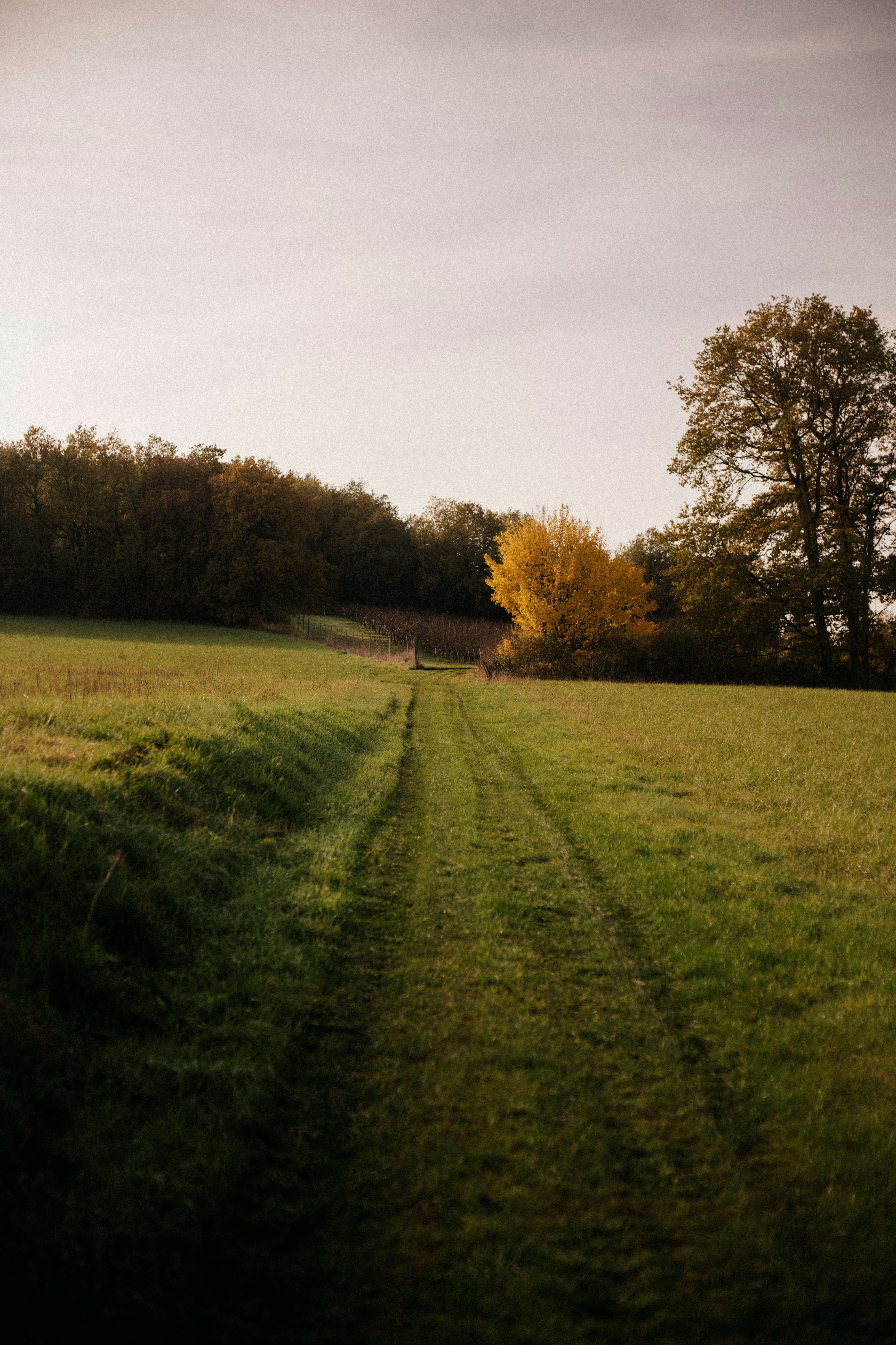 Photo by elmartinbaron