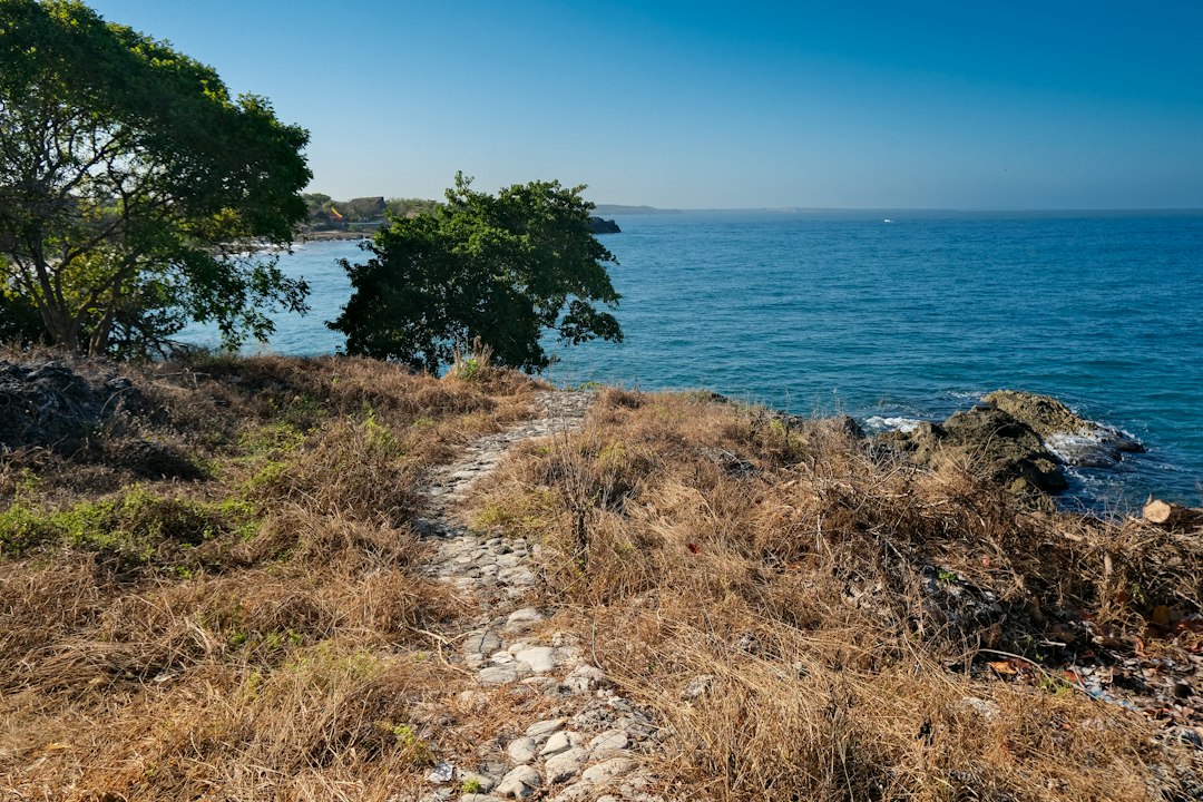 a path leading to the ocean on a sunny day, Road to nowhere.