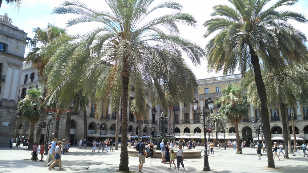 a group of palm trees in front of a building