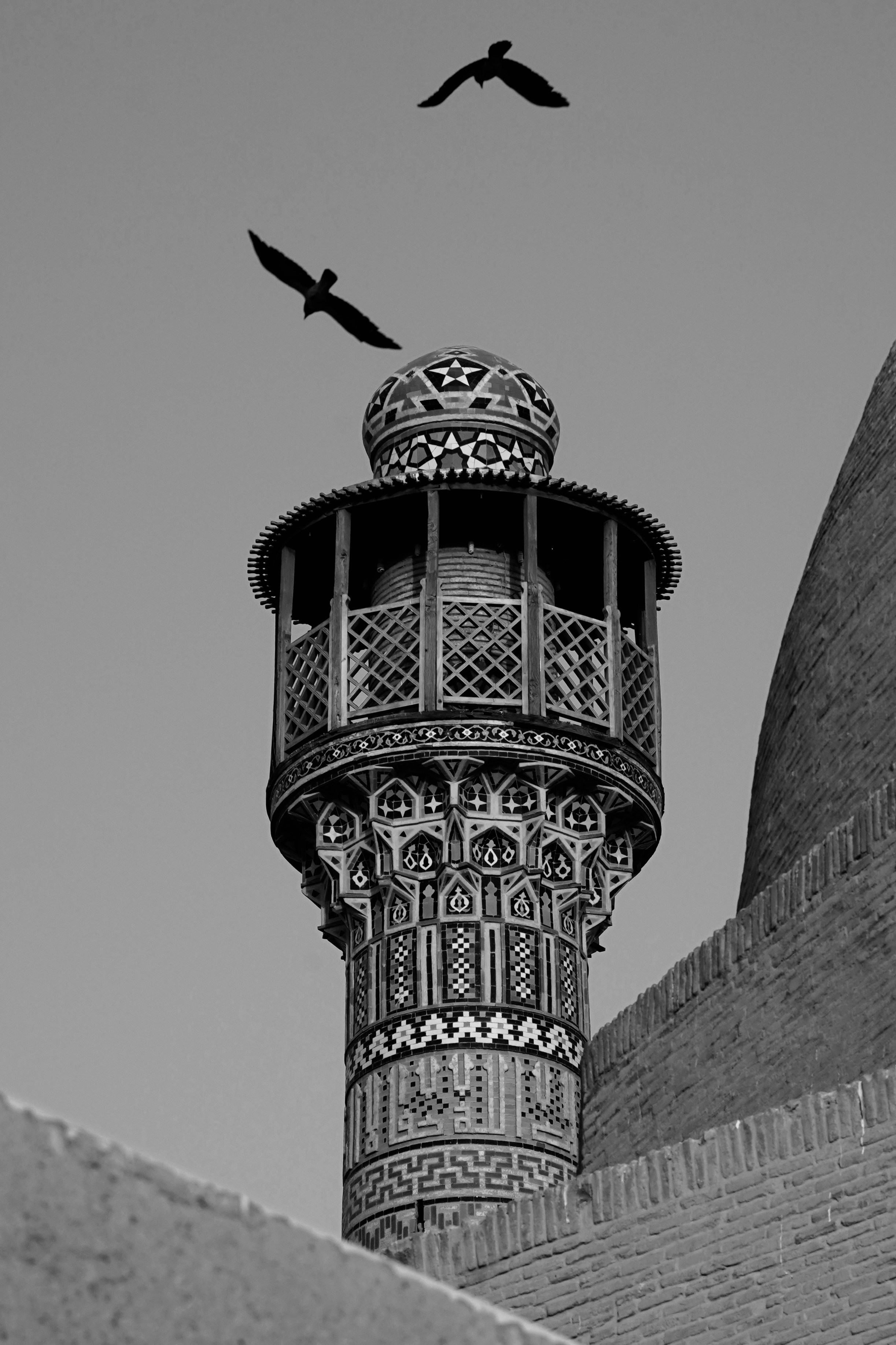 Zwei Vögel fliegen über einen hohen Turm