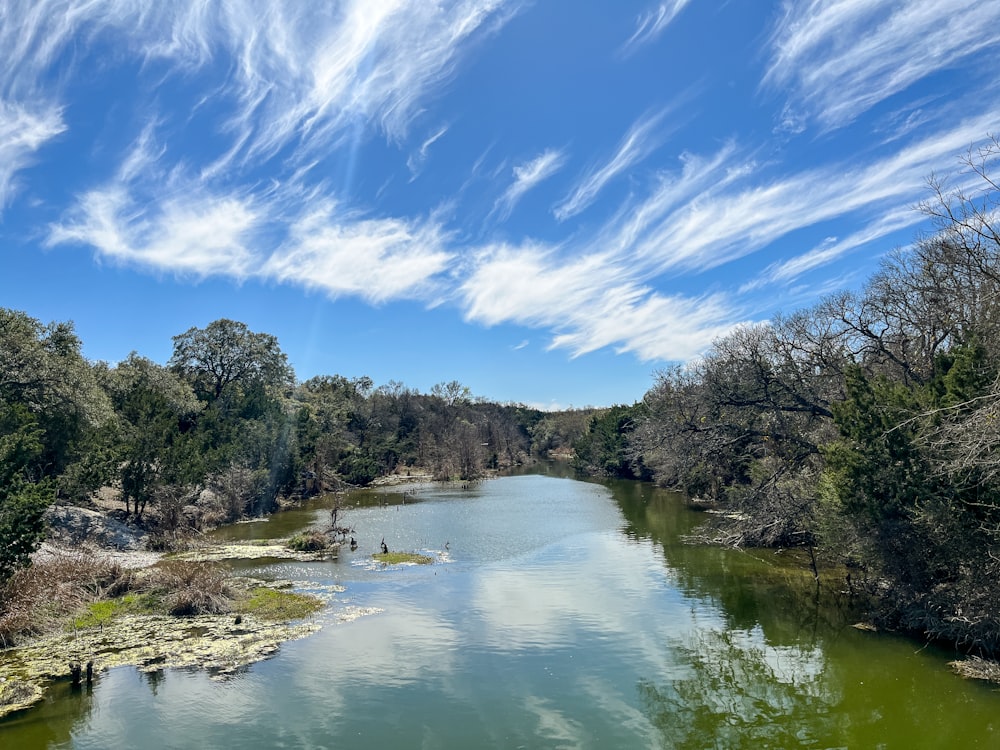 a body of water surrounded by trees under a blue sky