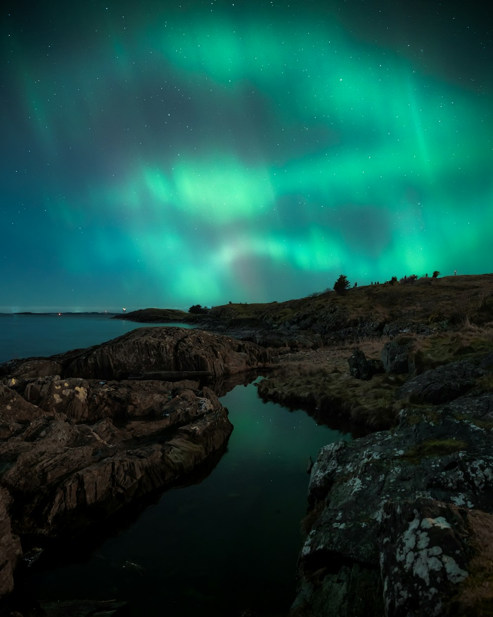 a green and blue aurora bore over a body of water