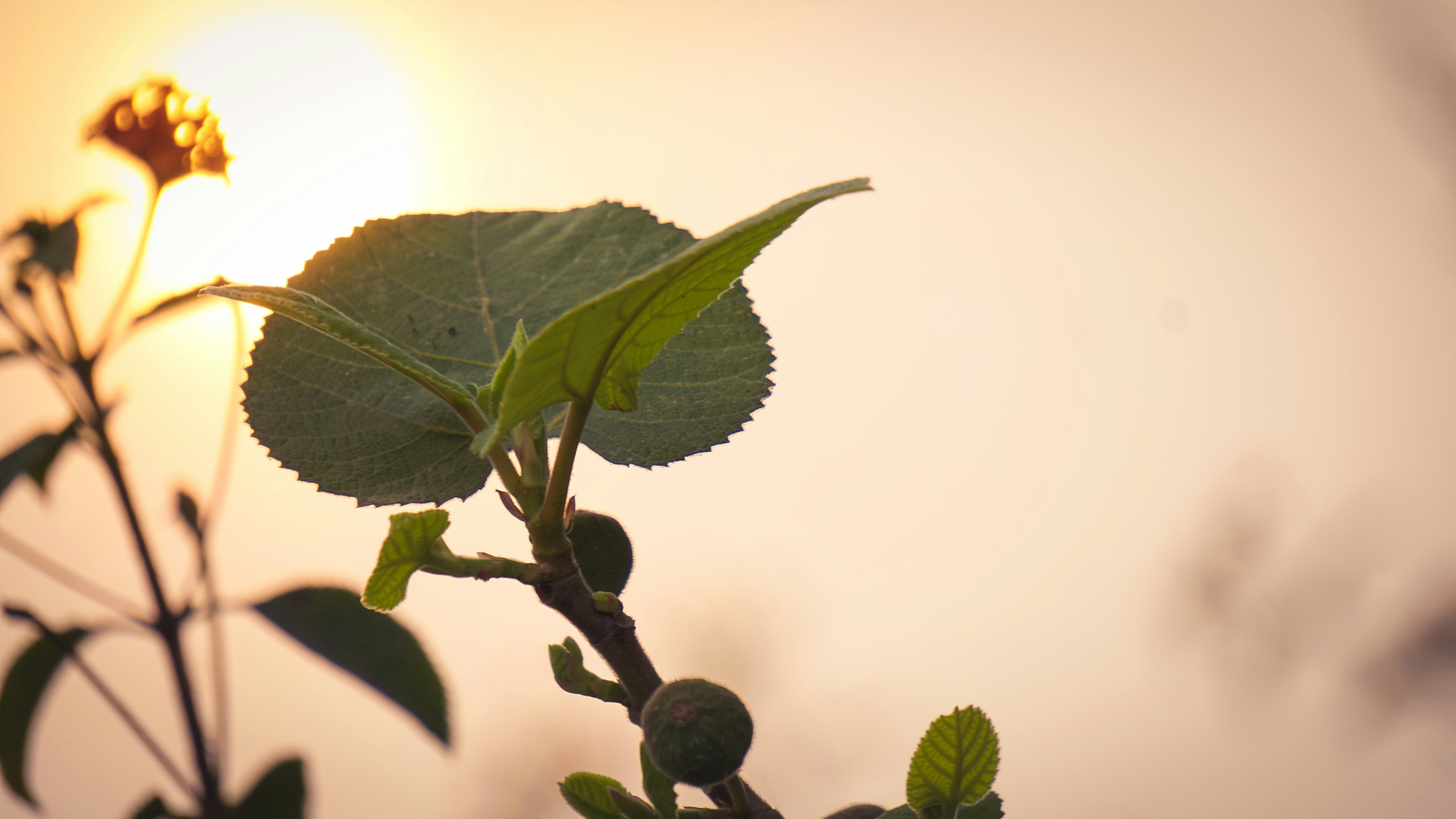 Photo by mrnobody91239