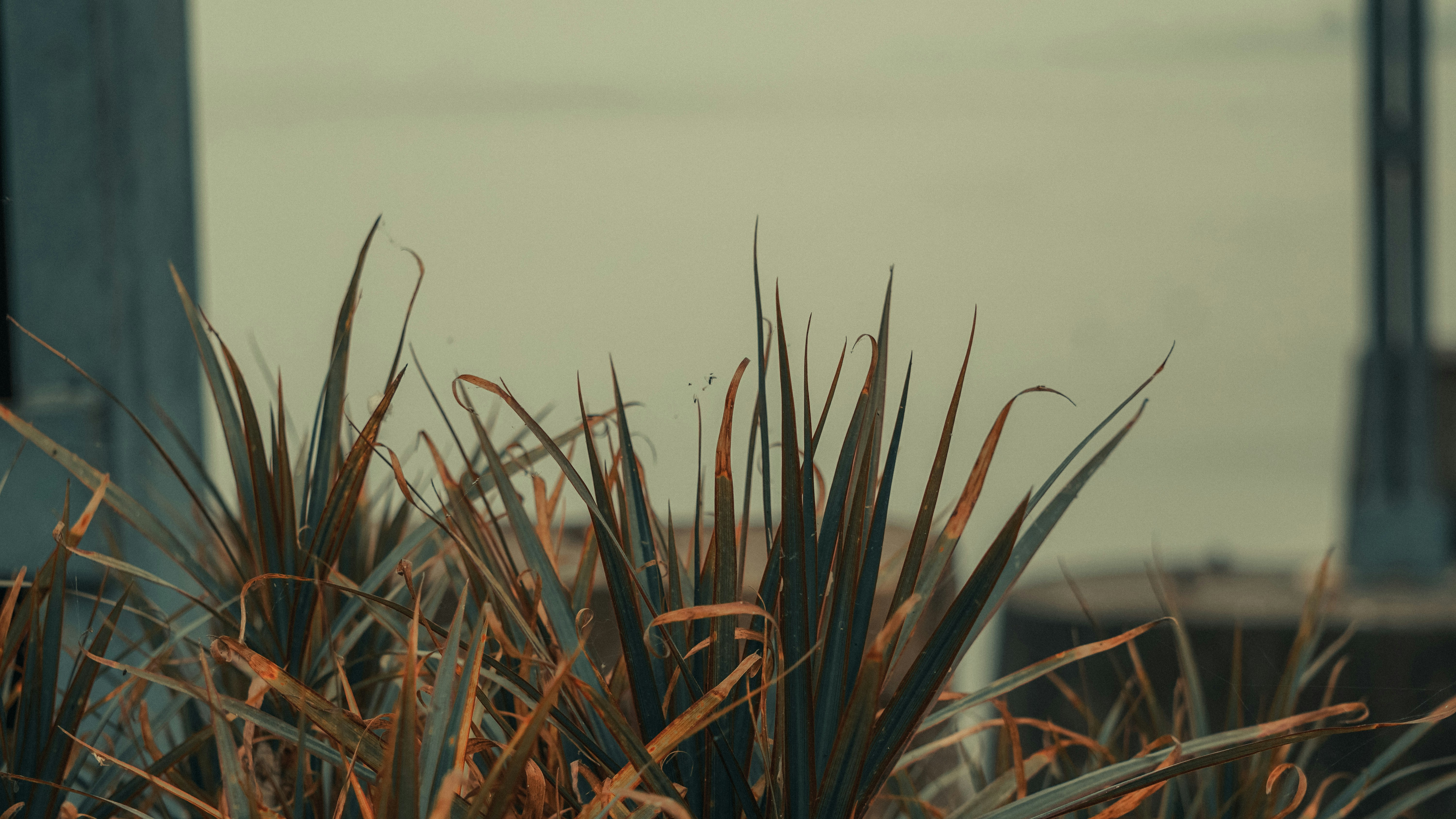 Photo by mrnobody91239