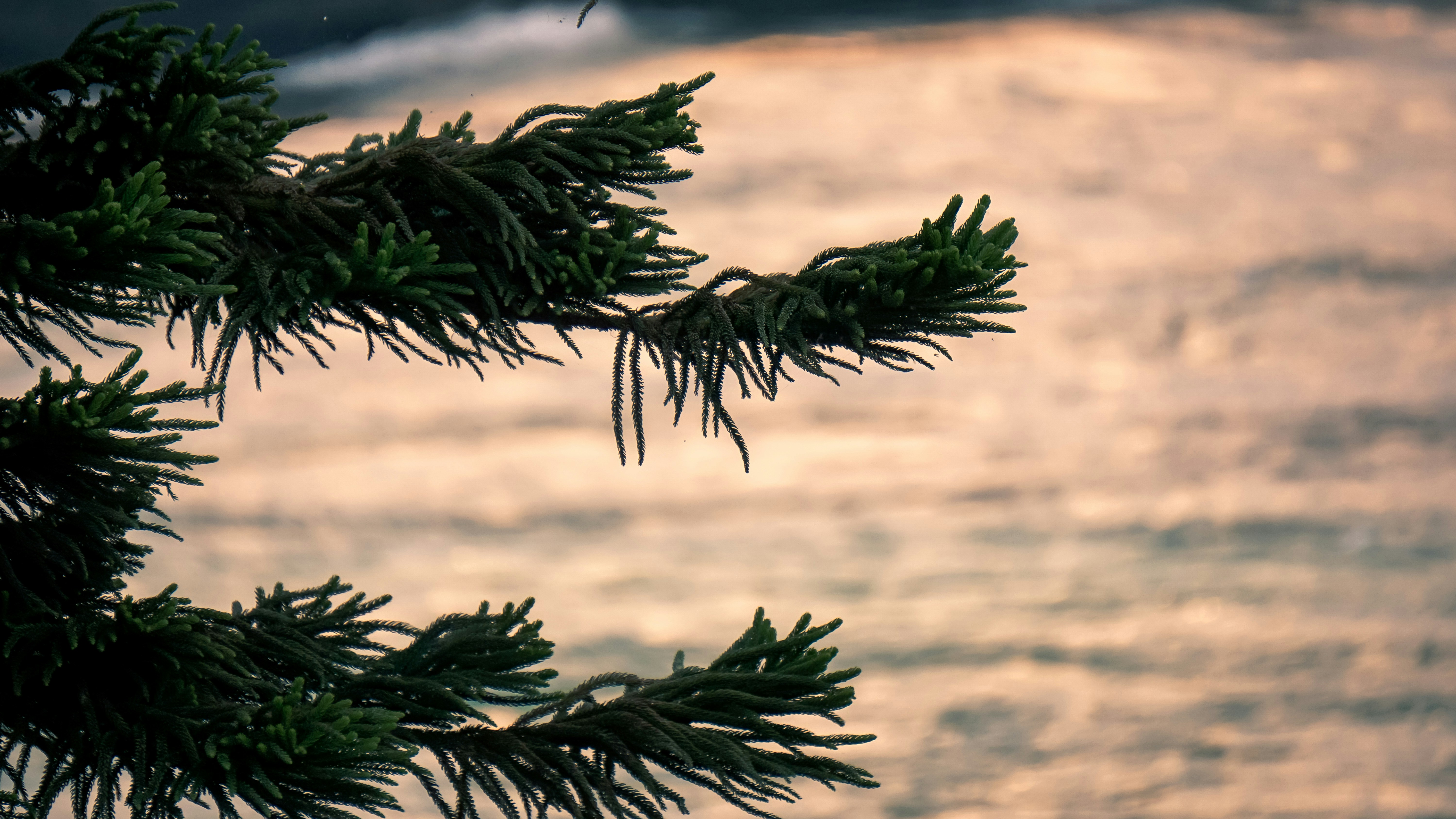 Photo by mrnobody91239