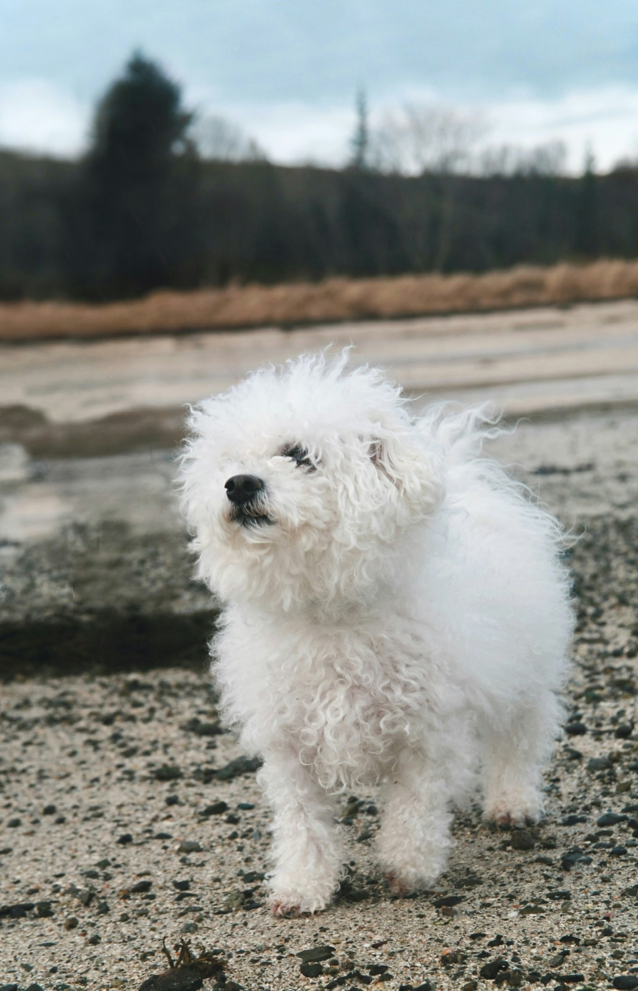 Photo by kristinokarlsen