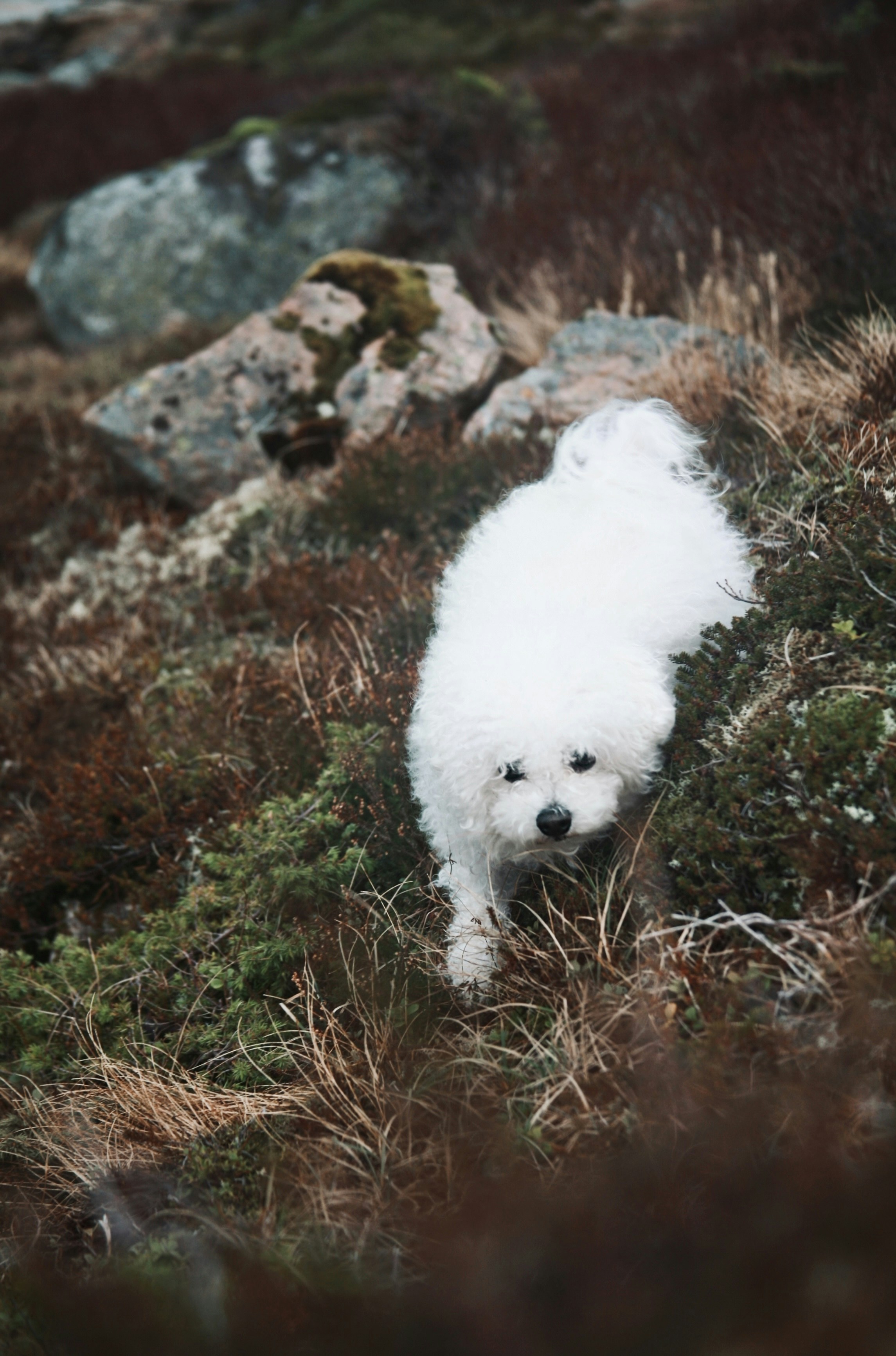 Photo by kristinokarlsen