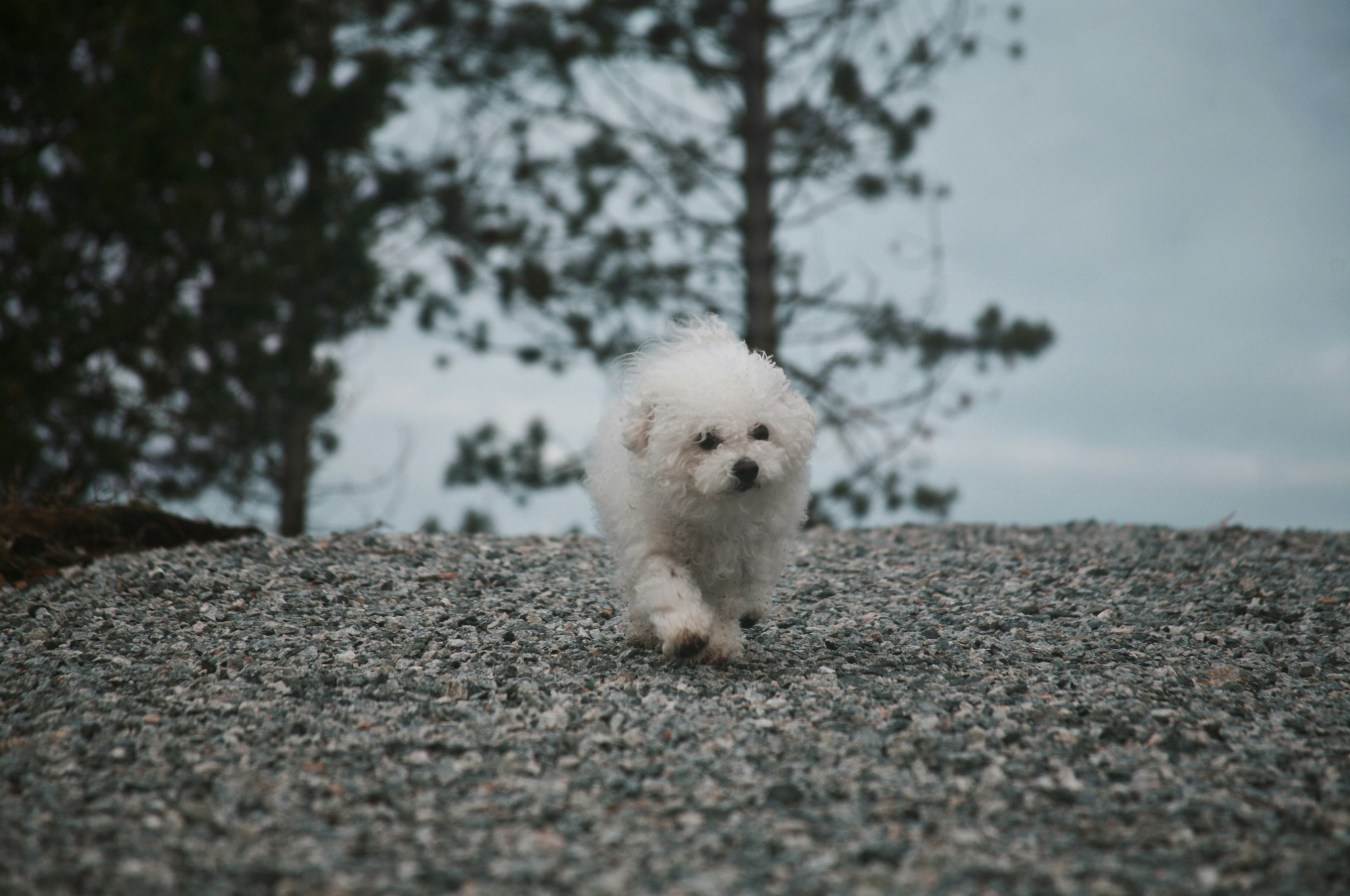 Photo by kristinokarlsen