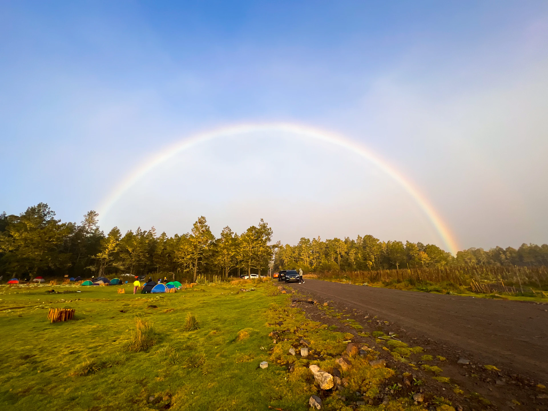 gray computer monitor