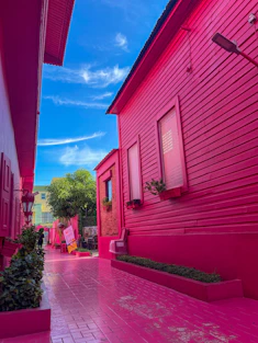 a pink house with a red roof and a pink walkway