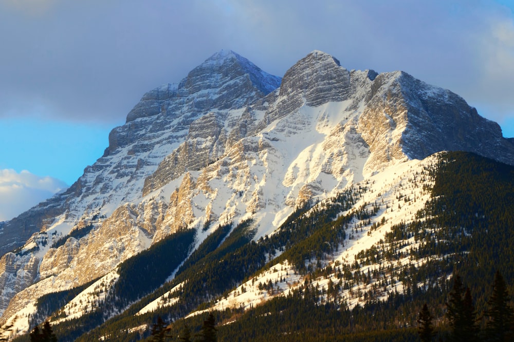 a snow covered mountain with trees in the foreground