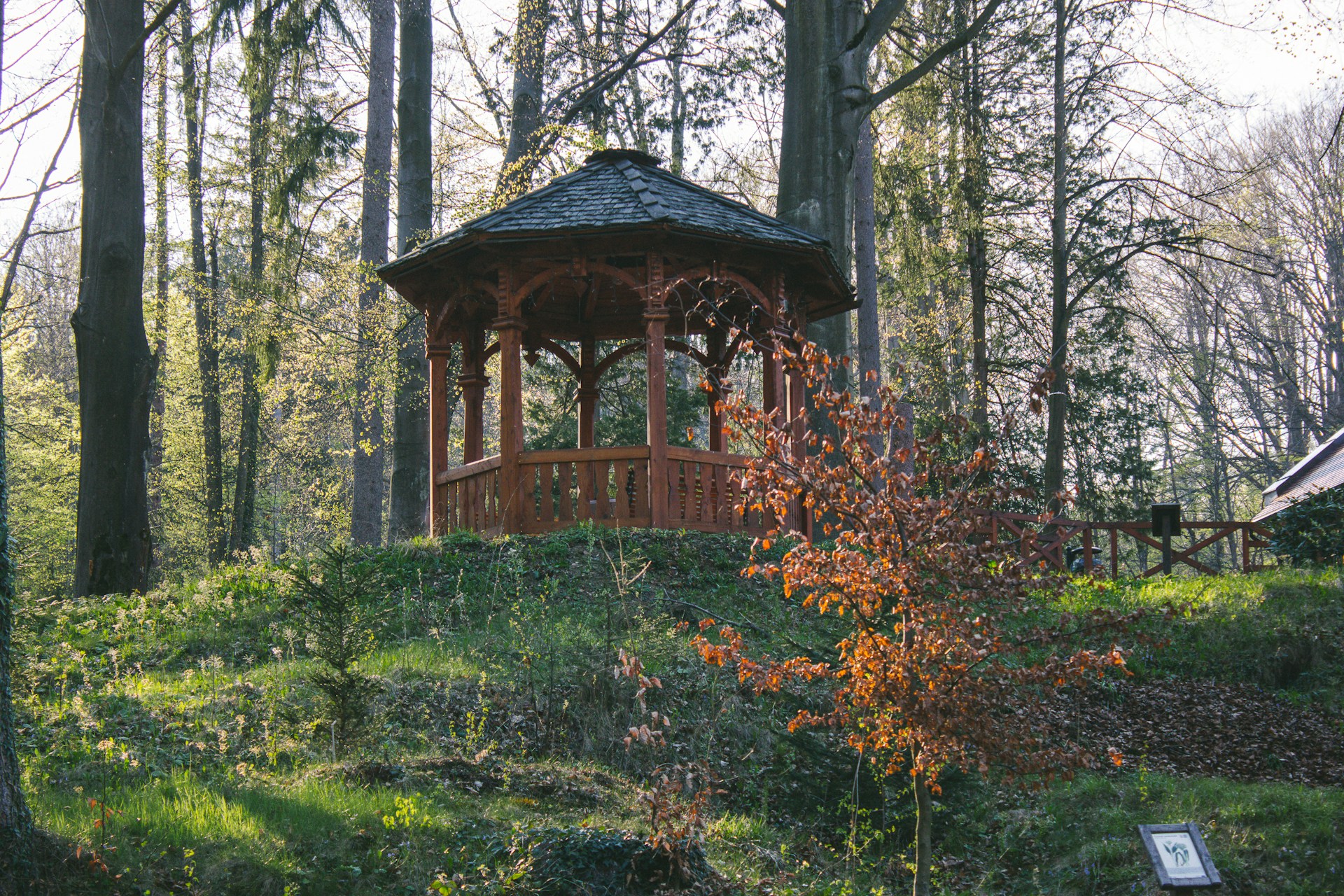 A charming wooden gazebo surrounded by tall trees, decorated for a sophisticated corporate event.