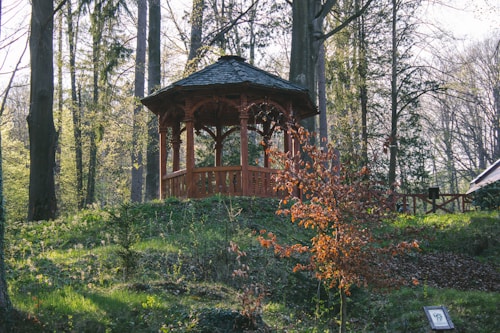 A wooden gazebo nestled among tall trees in a lush forest setting. Sunlight filters through the branches, casting a warm glow on the structure and surrounding foliage. A small, red-leaved bush stands in the foreground, adding contrast to the scene.