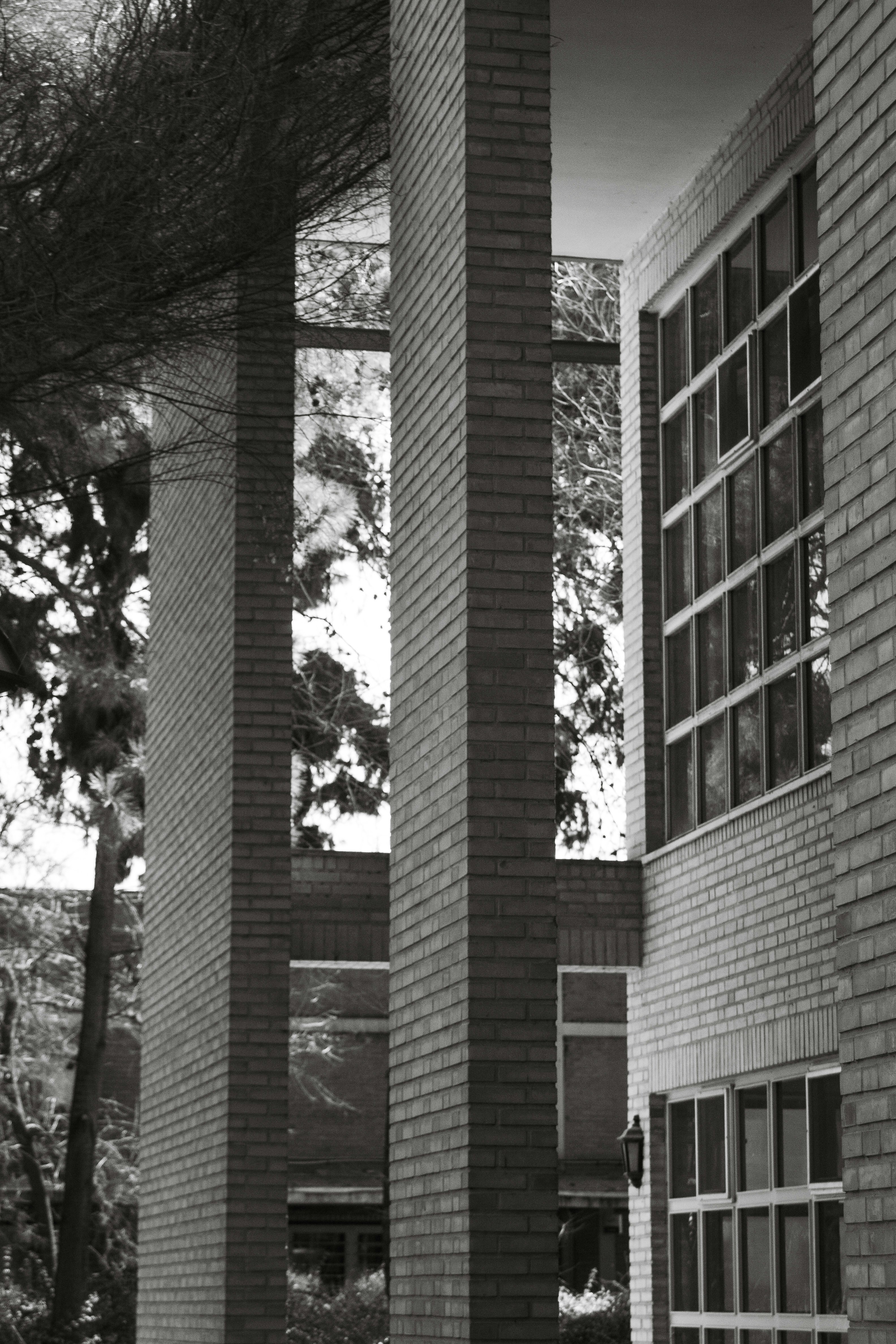 Photo by hossein8728