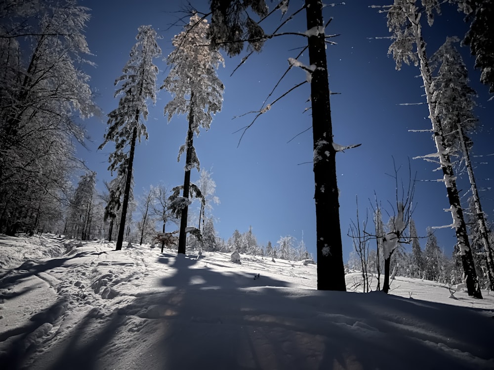 a person riding a snowboard down a snow covered slope