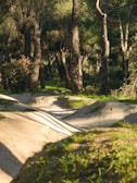 Trail winding through a sun-dappled forest ready for a nature walk
