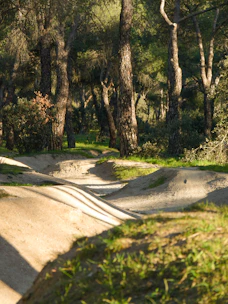A winding forest trail in Turtle Mountain with dappled sunlight filtering through tall pine trees.