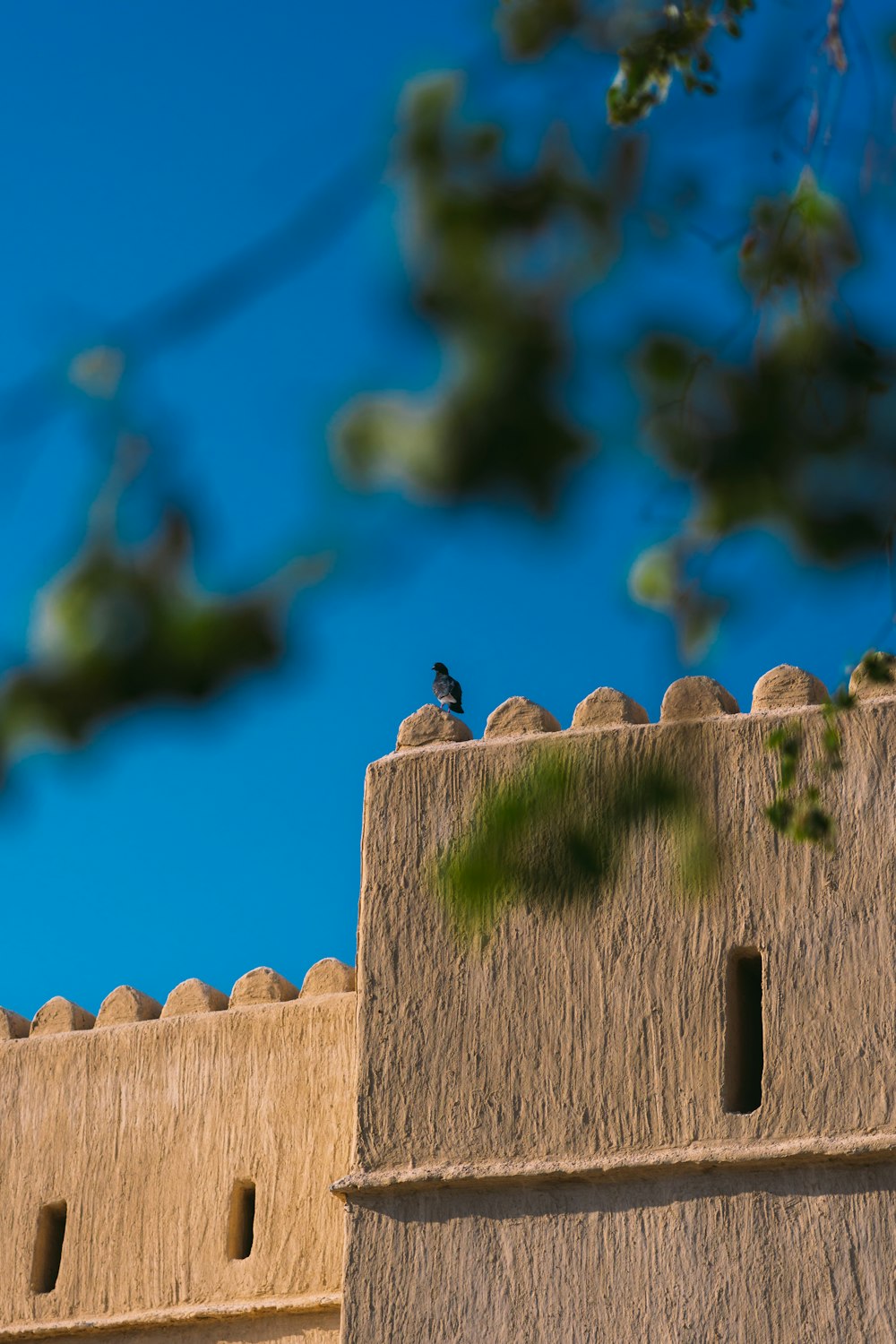 a bird sitting on top of a tall building
