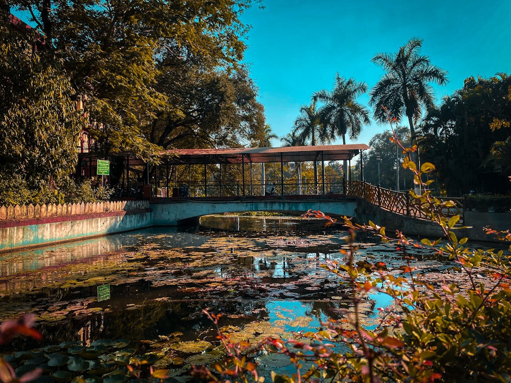 a bridge over a body of water surrounded by trees