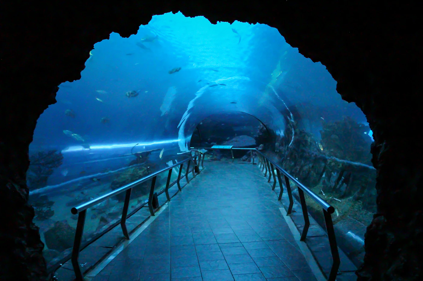 Grand Aquarium Hurghada à Hurghada