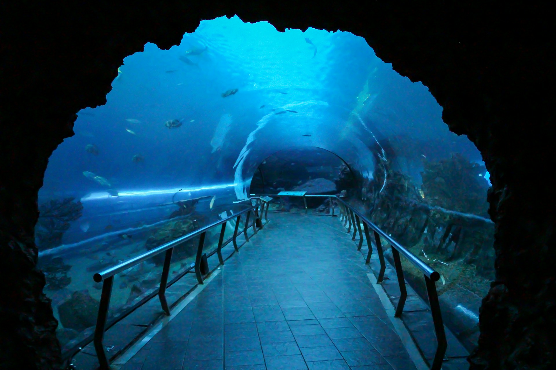 a tunnel in the ocean with a walkway going through it