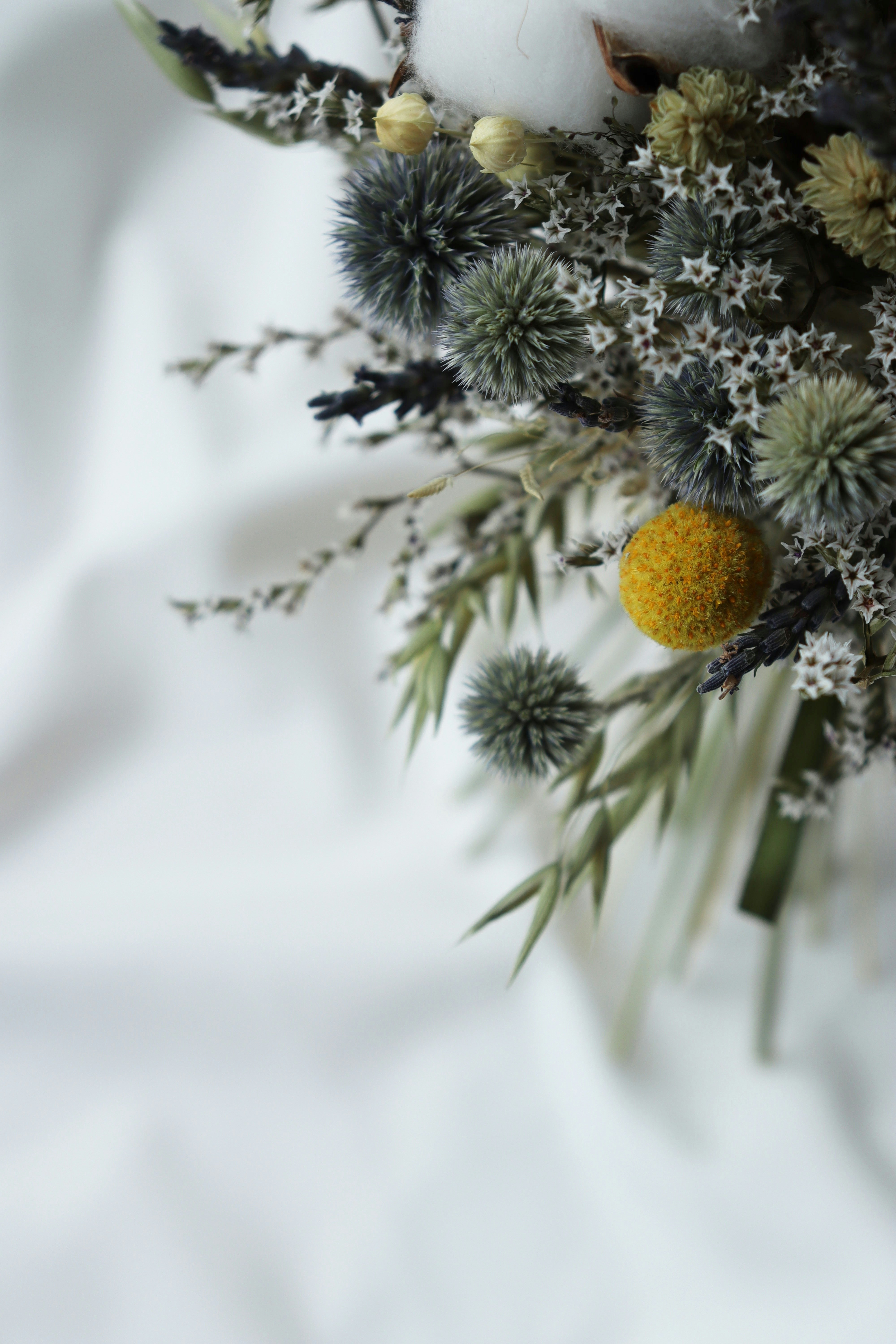 Photo by fridaflowers