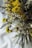 Close-up of a rustic bouquet of dried flowers on a wooden table.