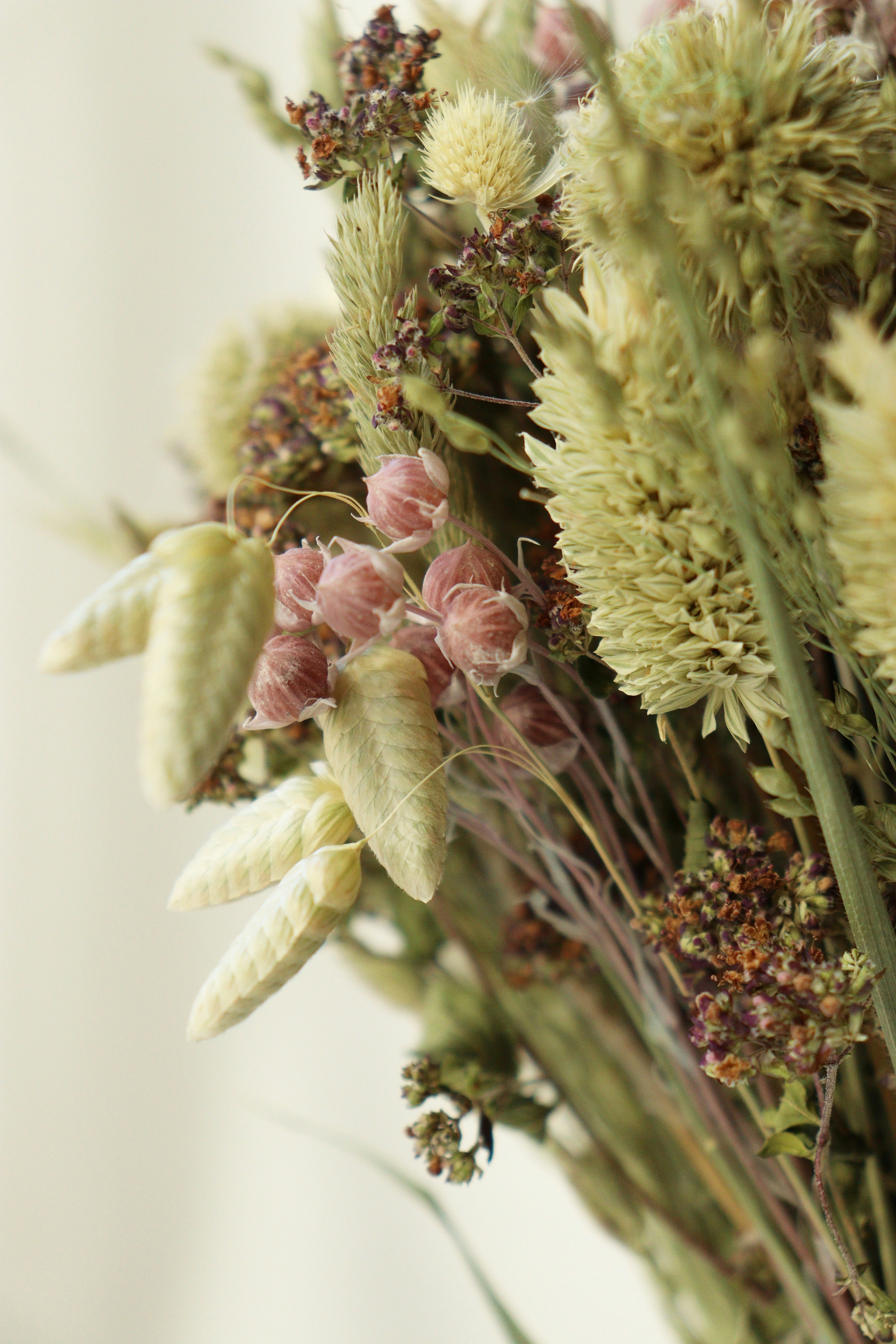 Photo by fridaflowers