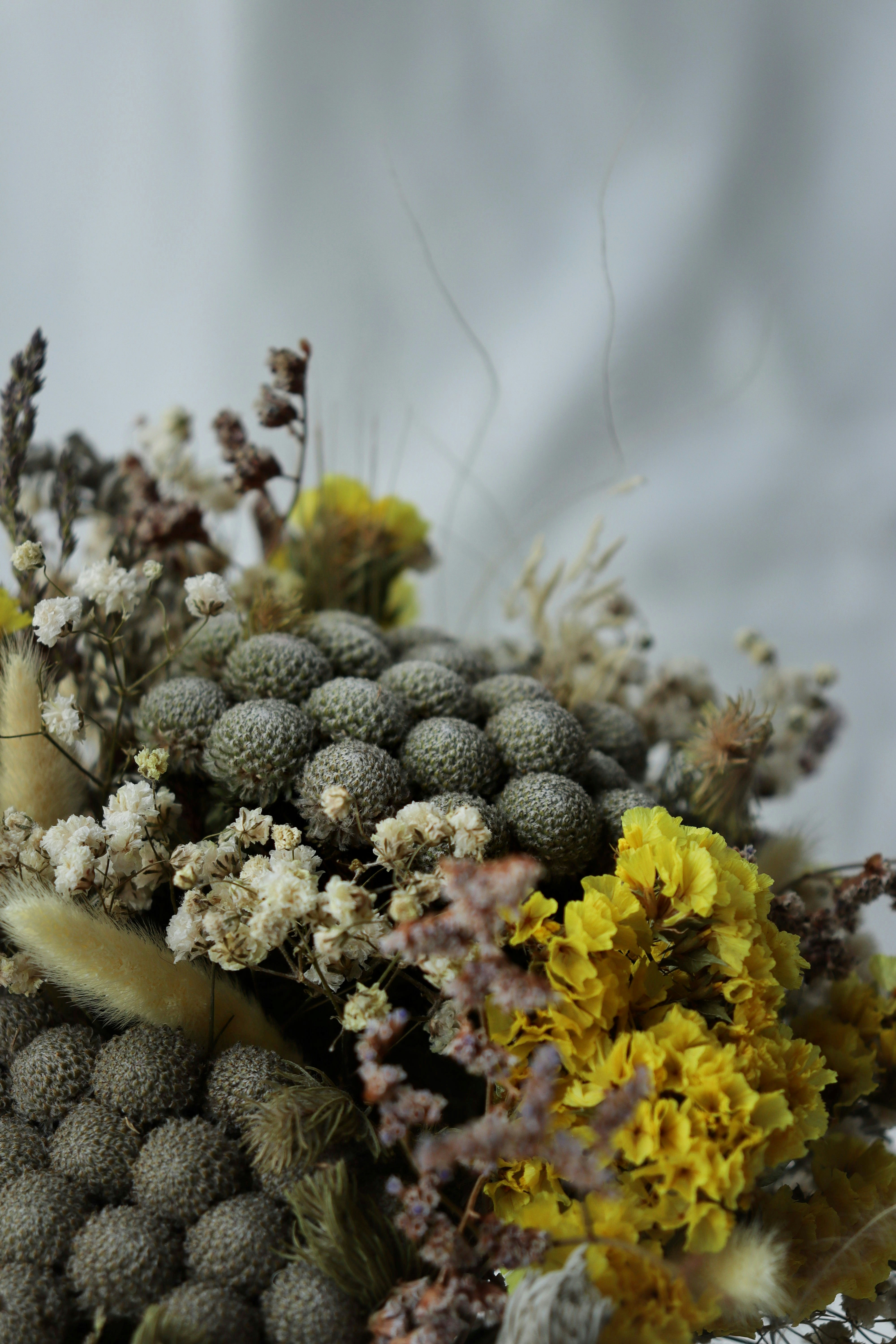 Photo by fridaflowers