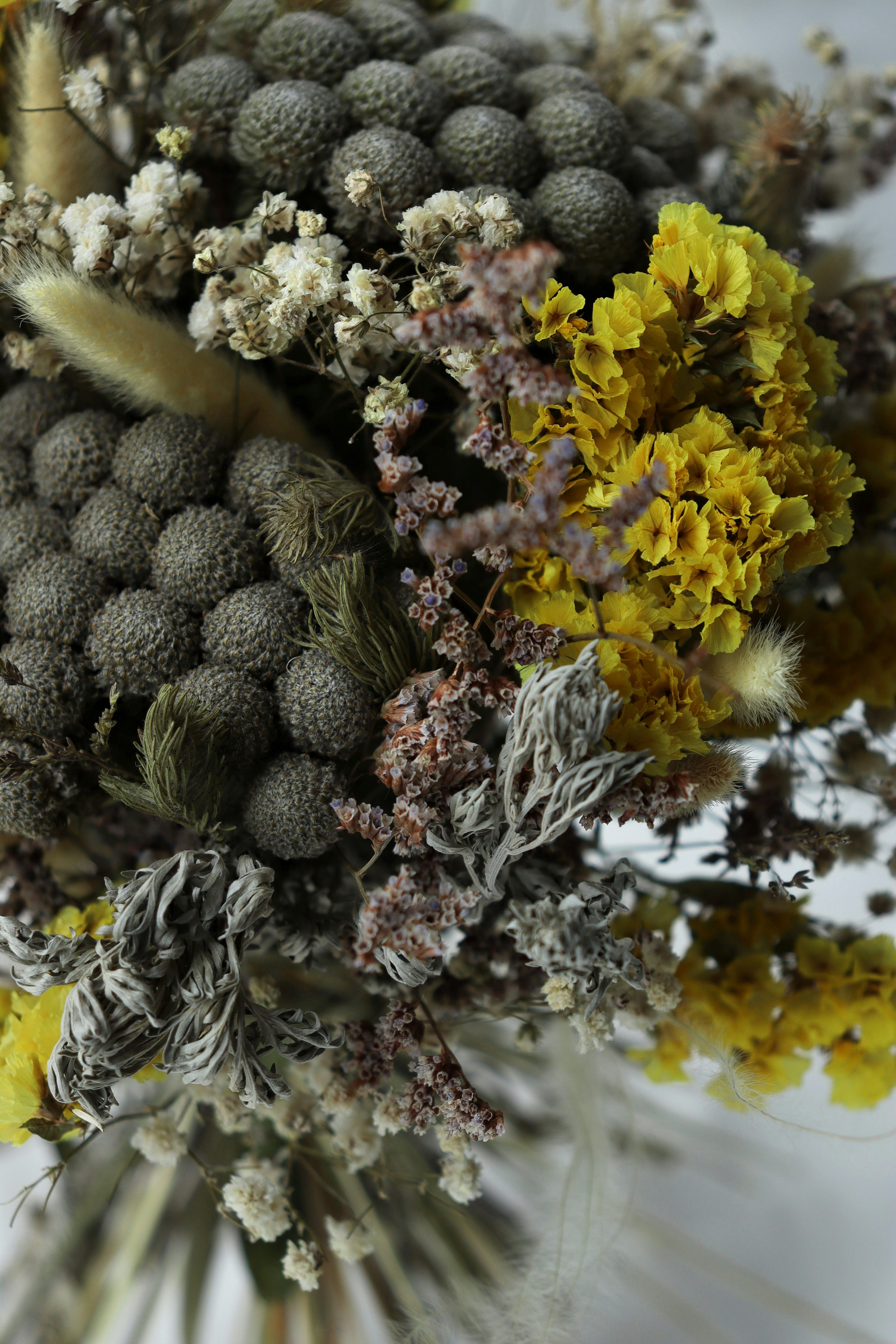 Photo by fridaflowers