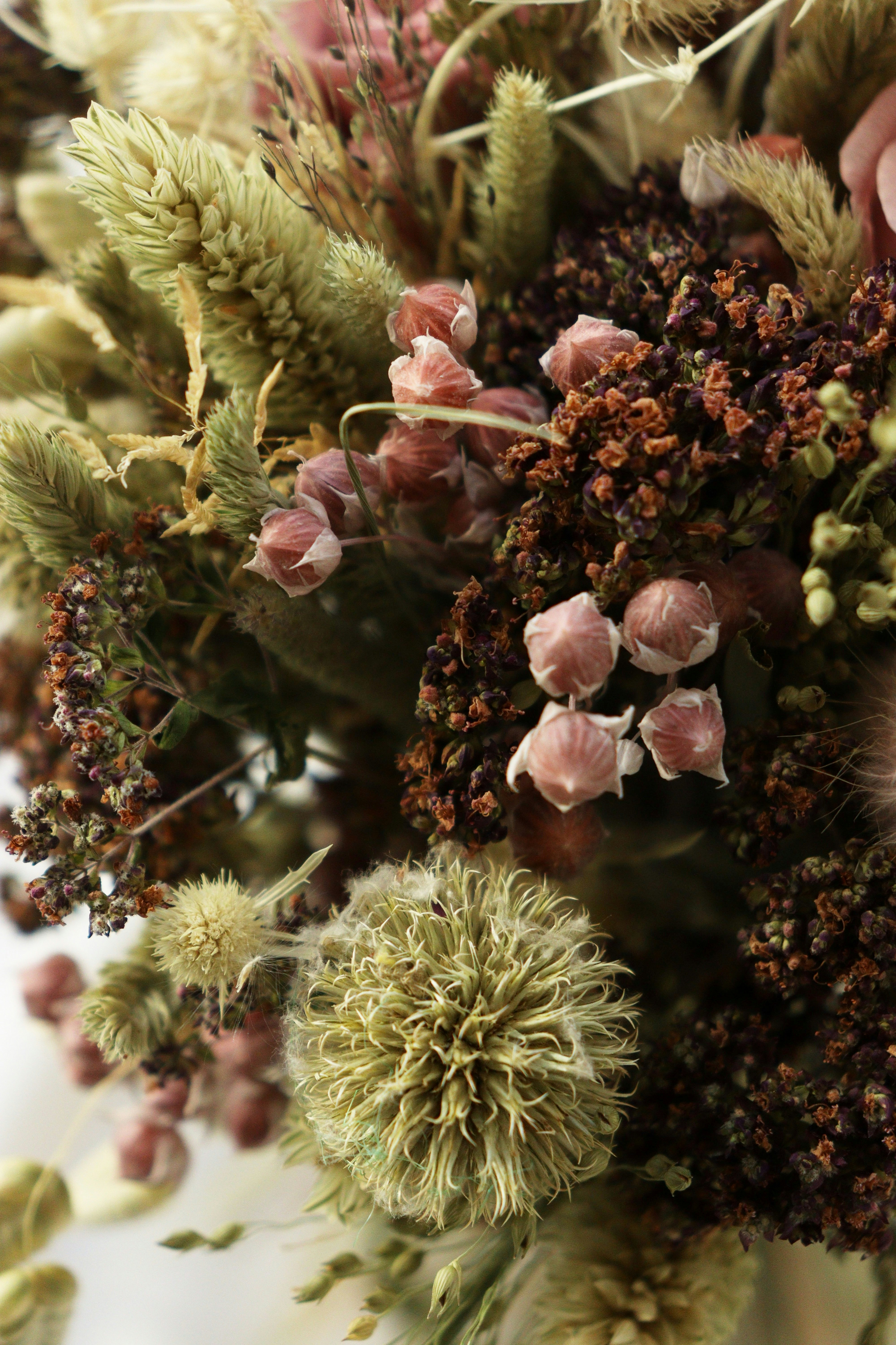 Photo by fridaflowers