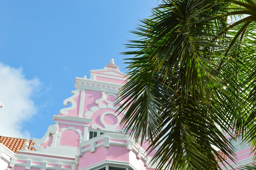 Un edificio rosa e bianco con una palma di fronte
