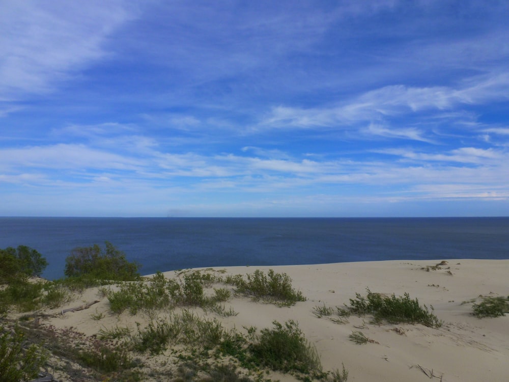 a view of the ocean from the top of a sand dune